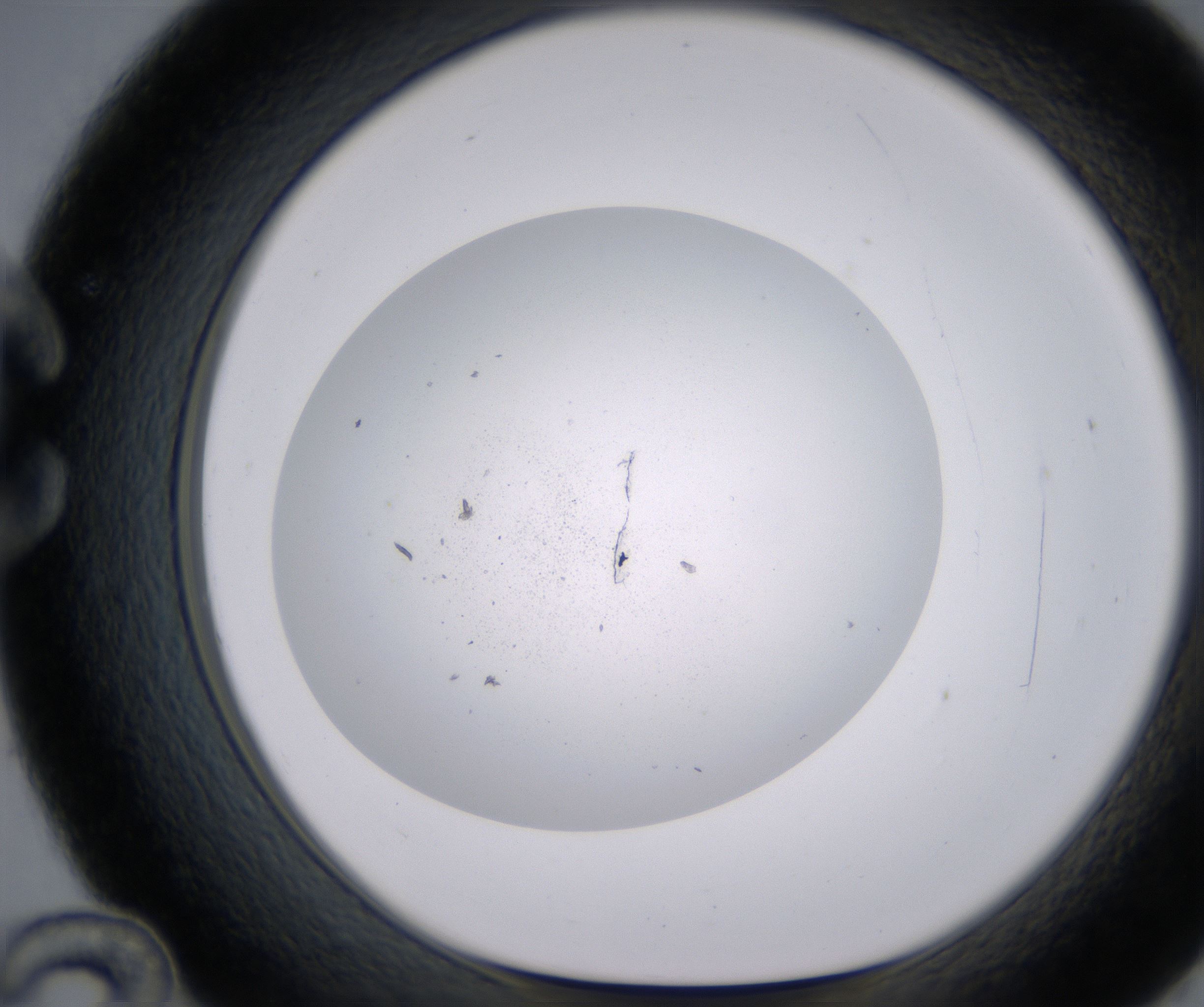 C12_HighResolution_Precipitate_1.jpg