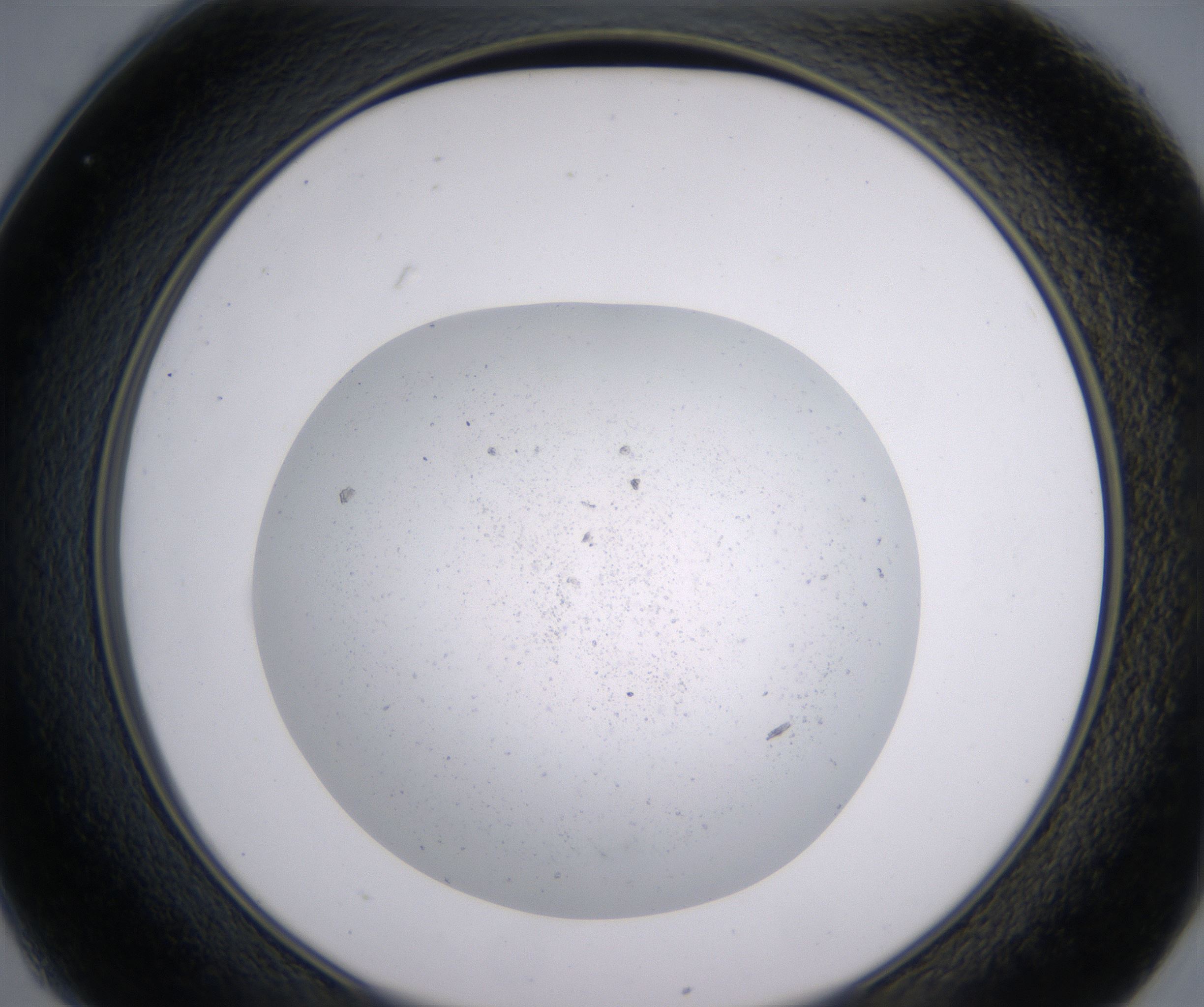 C1_HighResolution_Precipitate_2.jpg