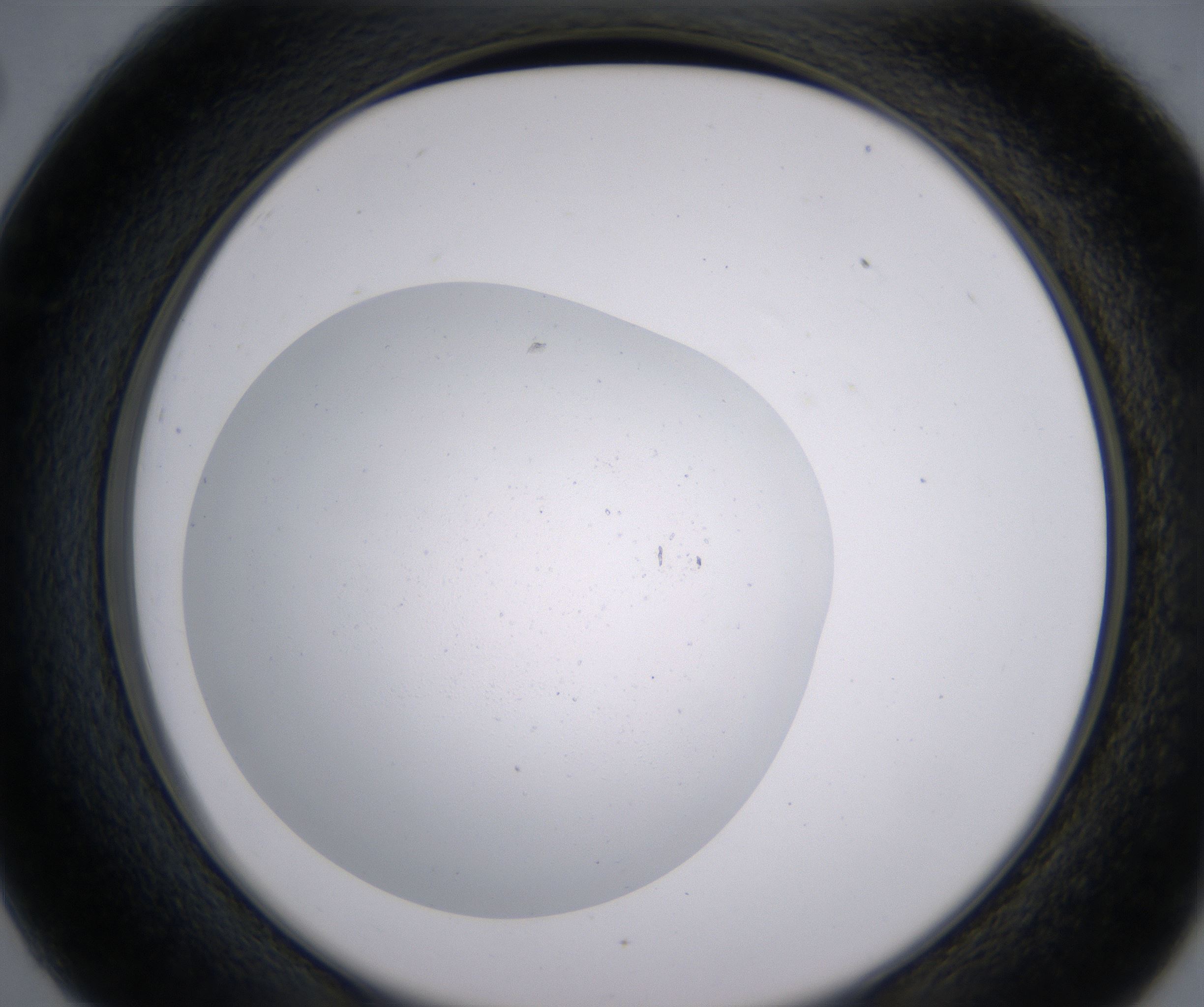 C2_HighResolution_Clear_2.jpg