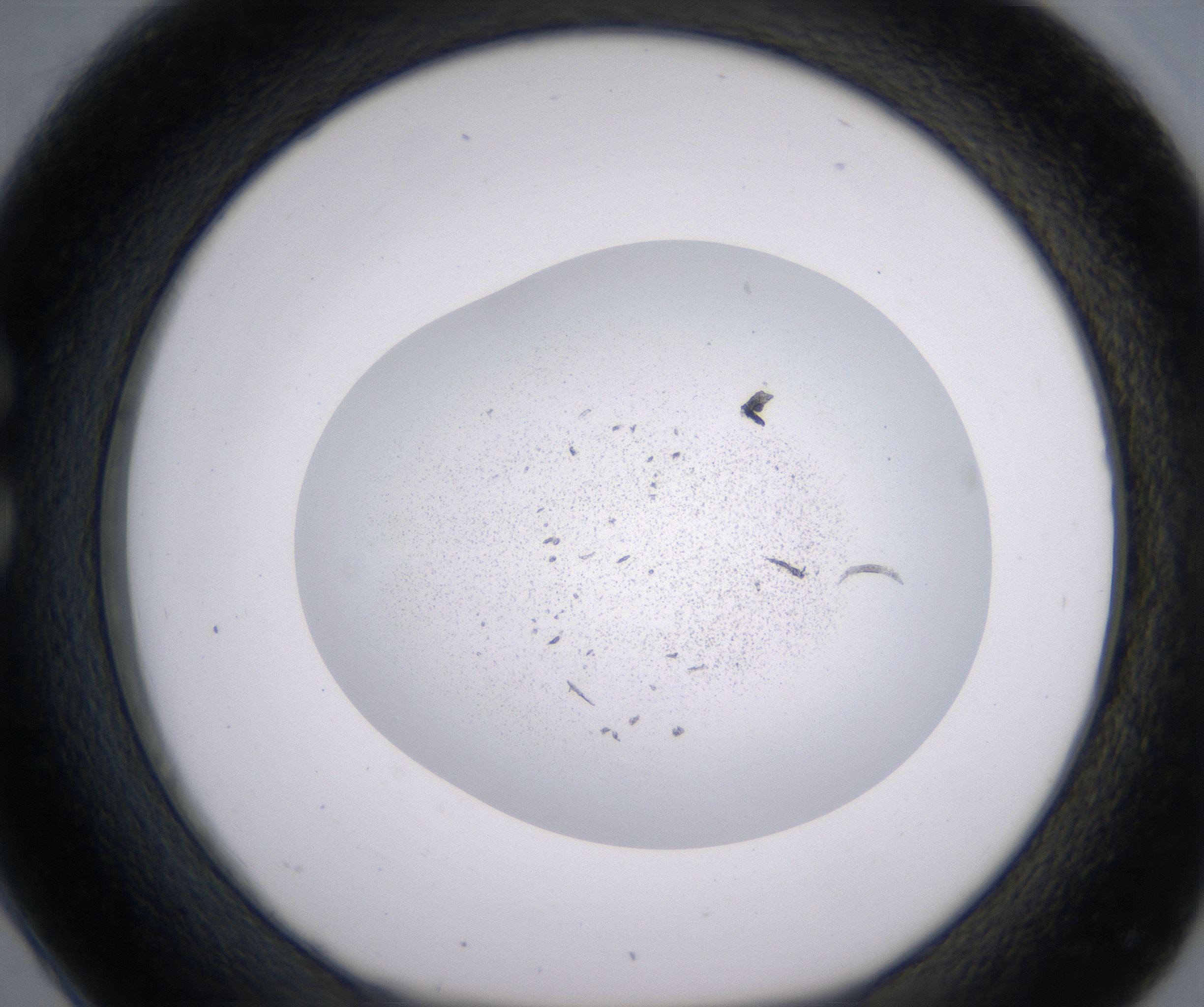 C2_HighResolution_Precipitate_1.jpg
