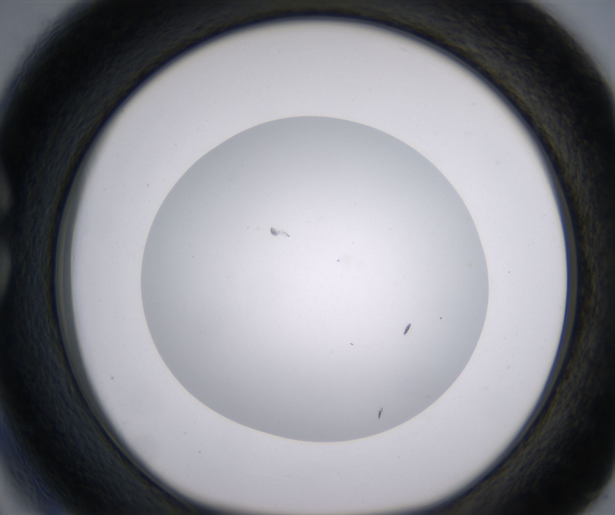 C3_HighResolution_Clear_1.jpg