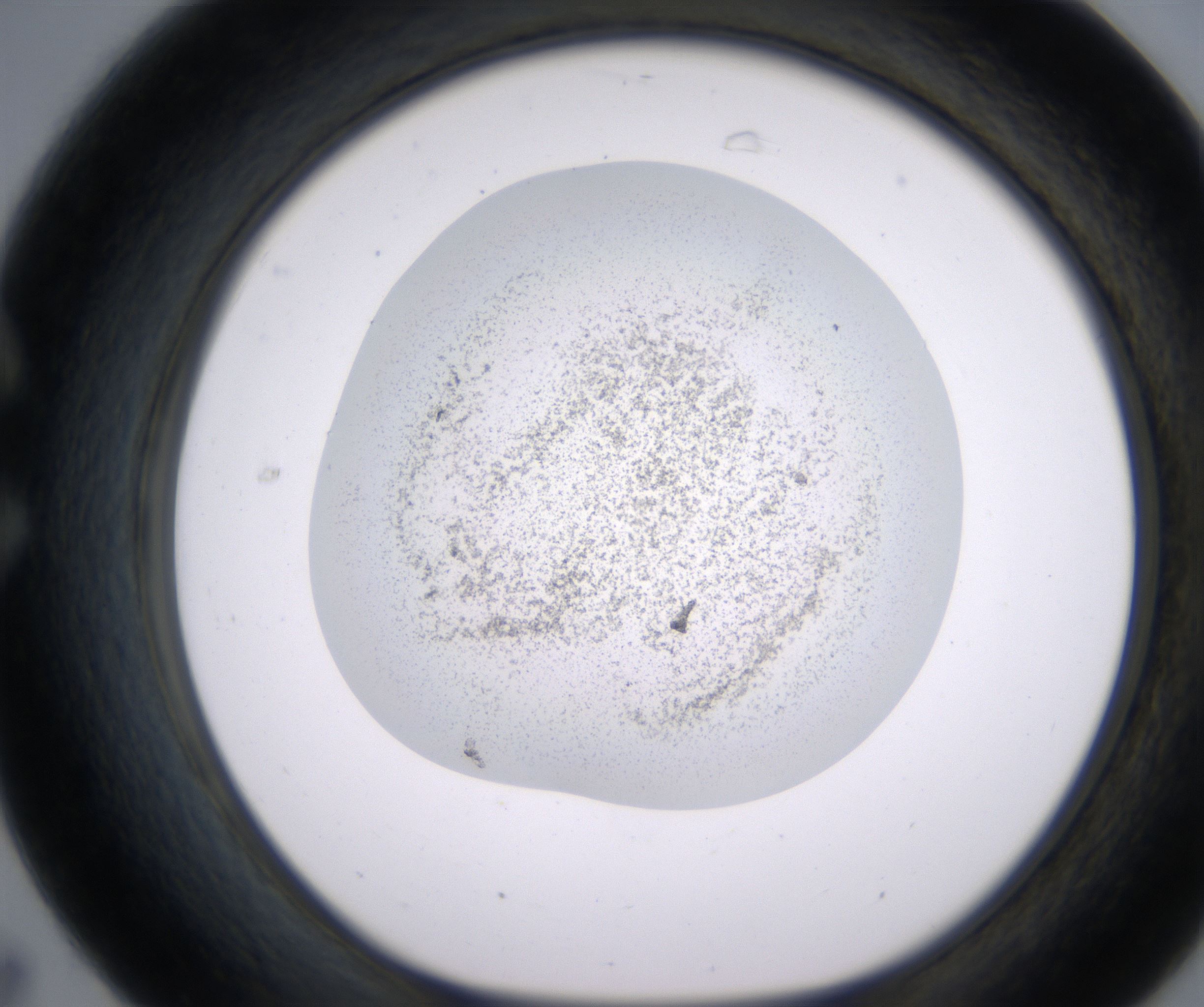 C7_HighResolution_Precipitate_1.jpg