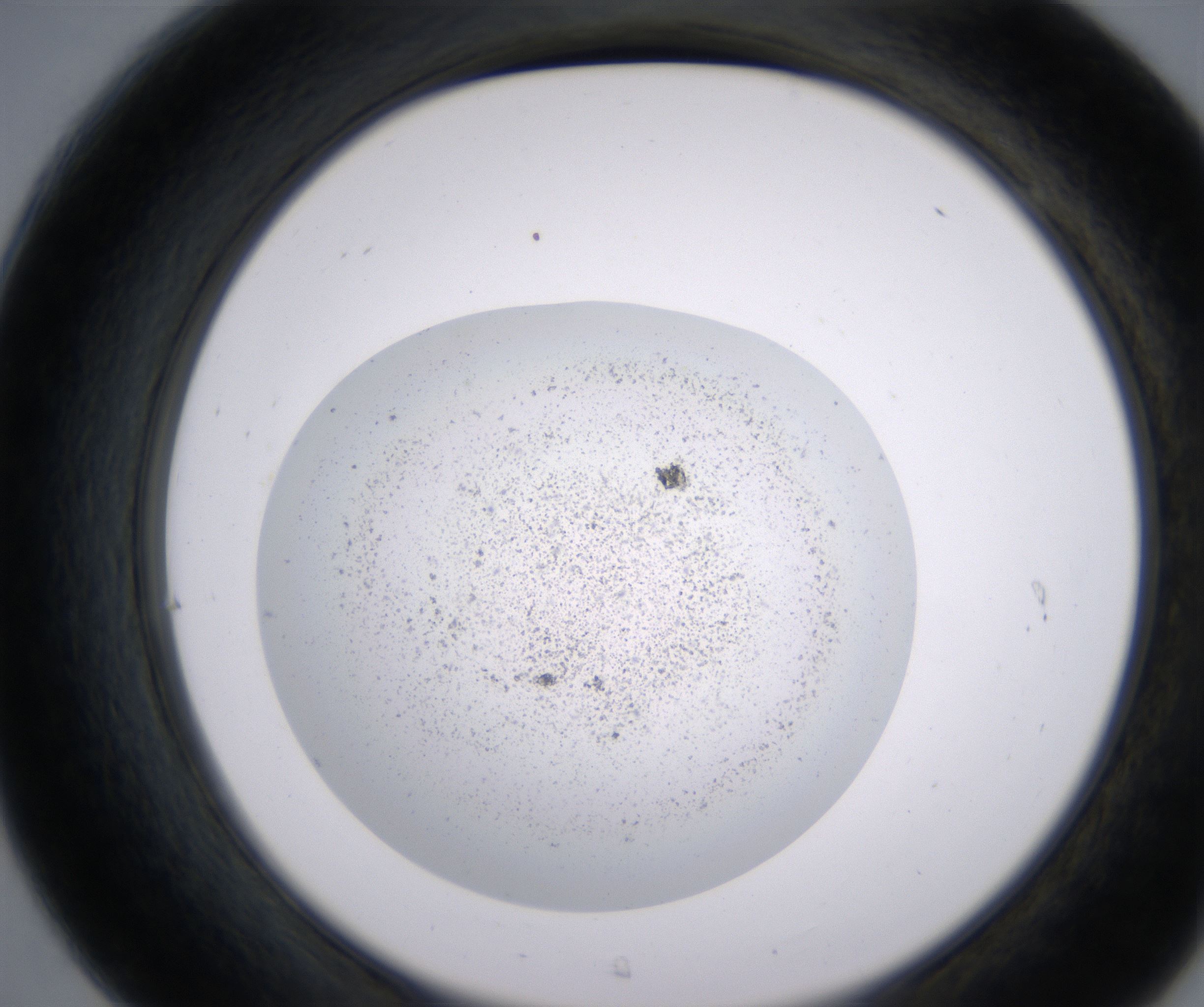 C7_HighResolution_Precipitate_2.jpg