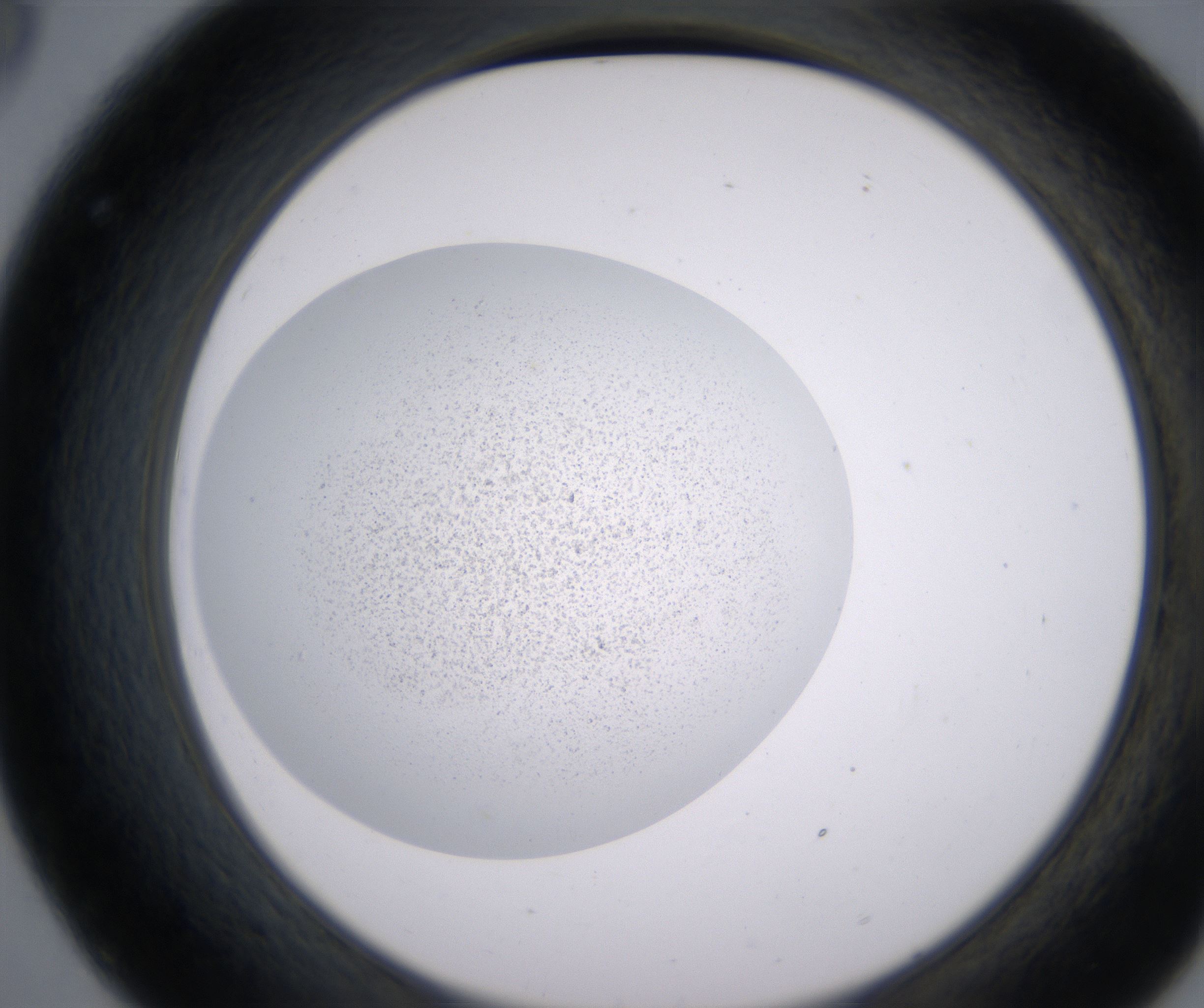 C8_HighResolution_Precipitate_2.jpg