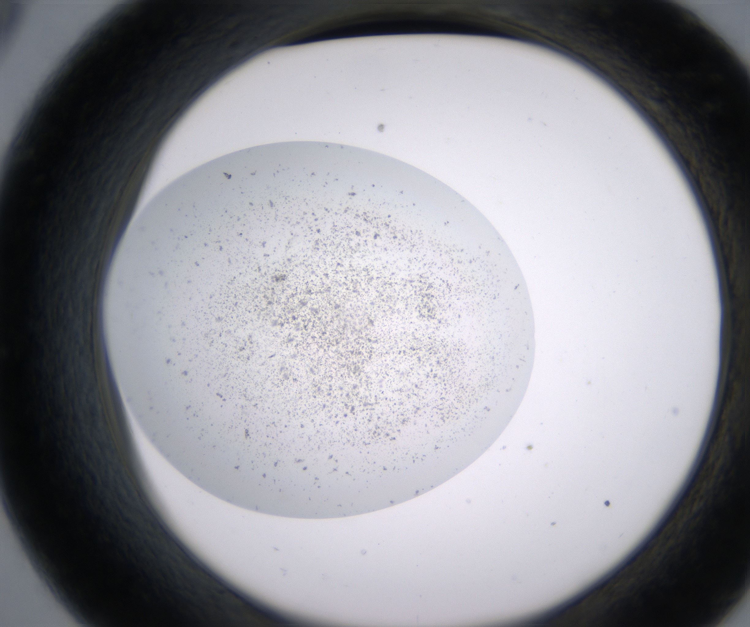 C9_HighResolution_Precipitate_2.jpg