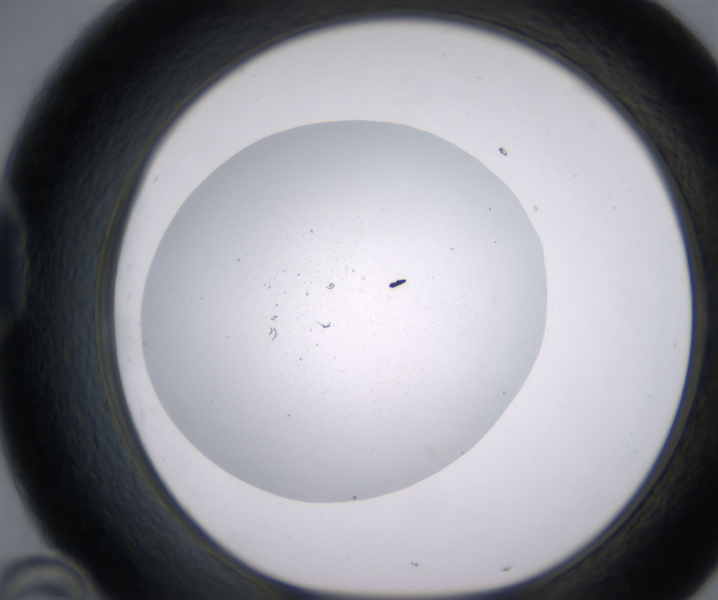 D10_HighResolution_Precipitate_1.jpg