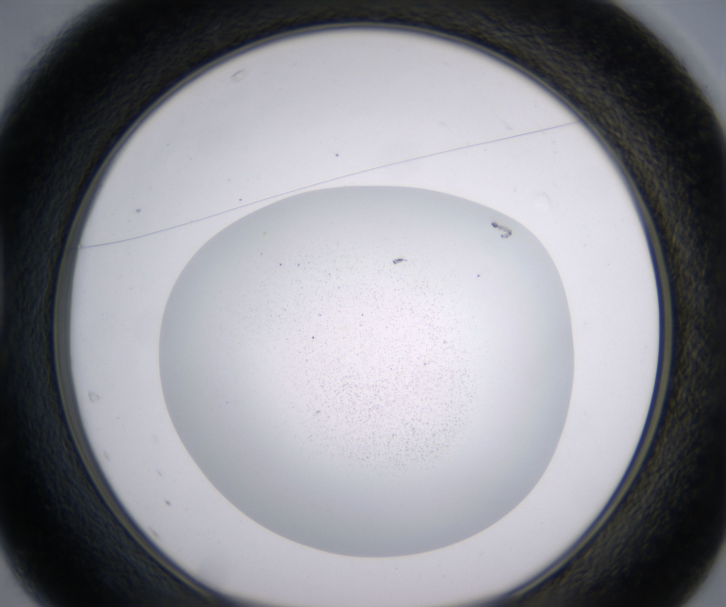 D1_HighResolution_Precipitate_1.jpg