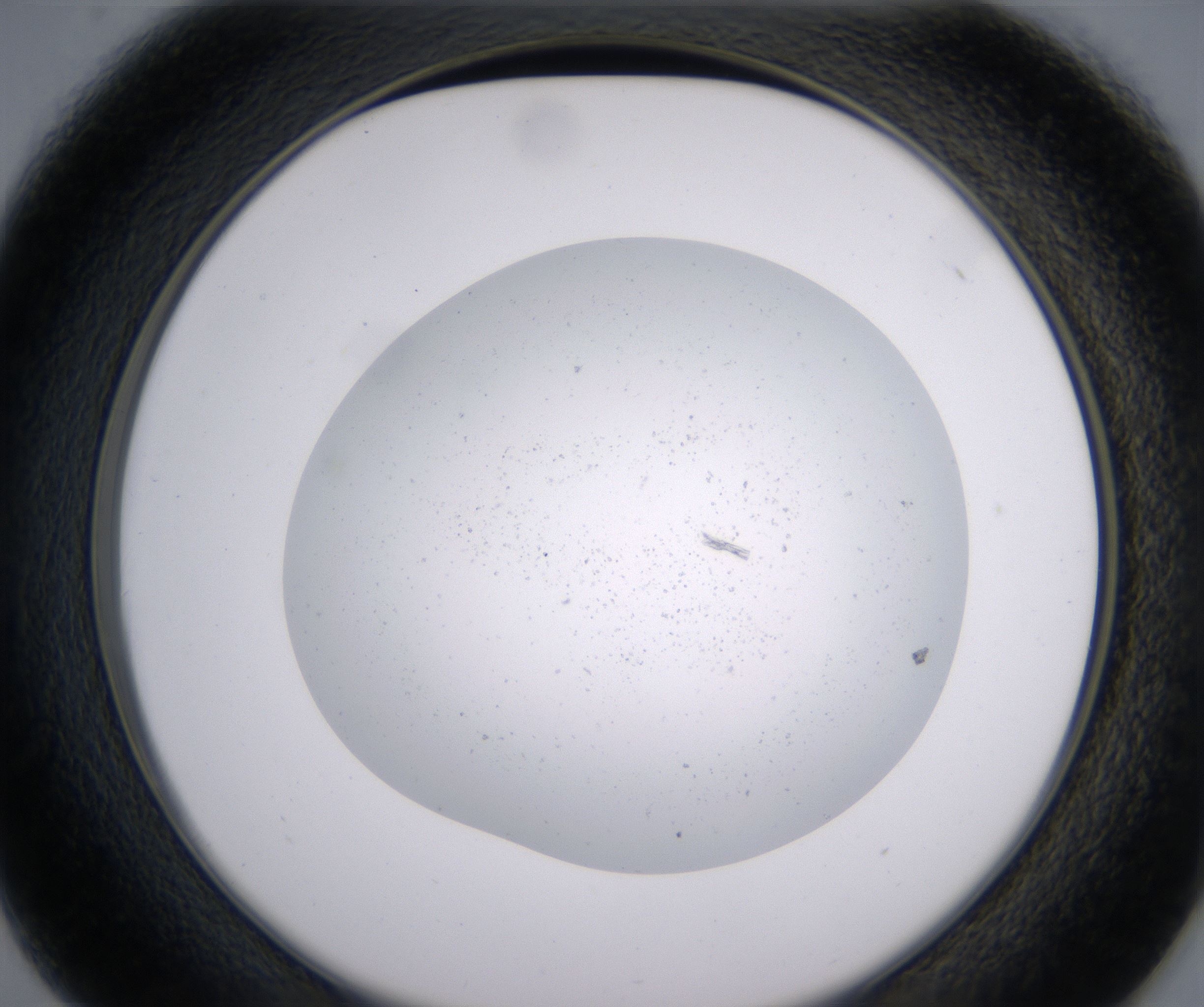 D1_HighResolution_Precipitate_2.jpg