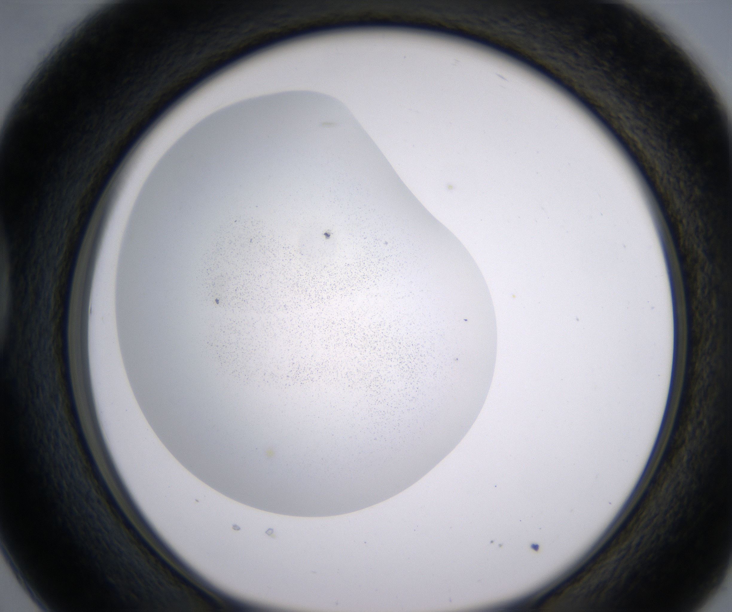 D2_HighResolution_Precipitate_1.jpg