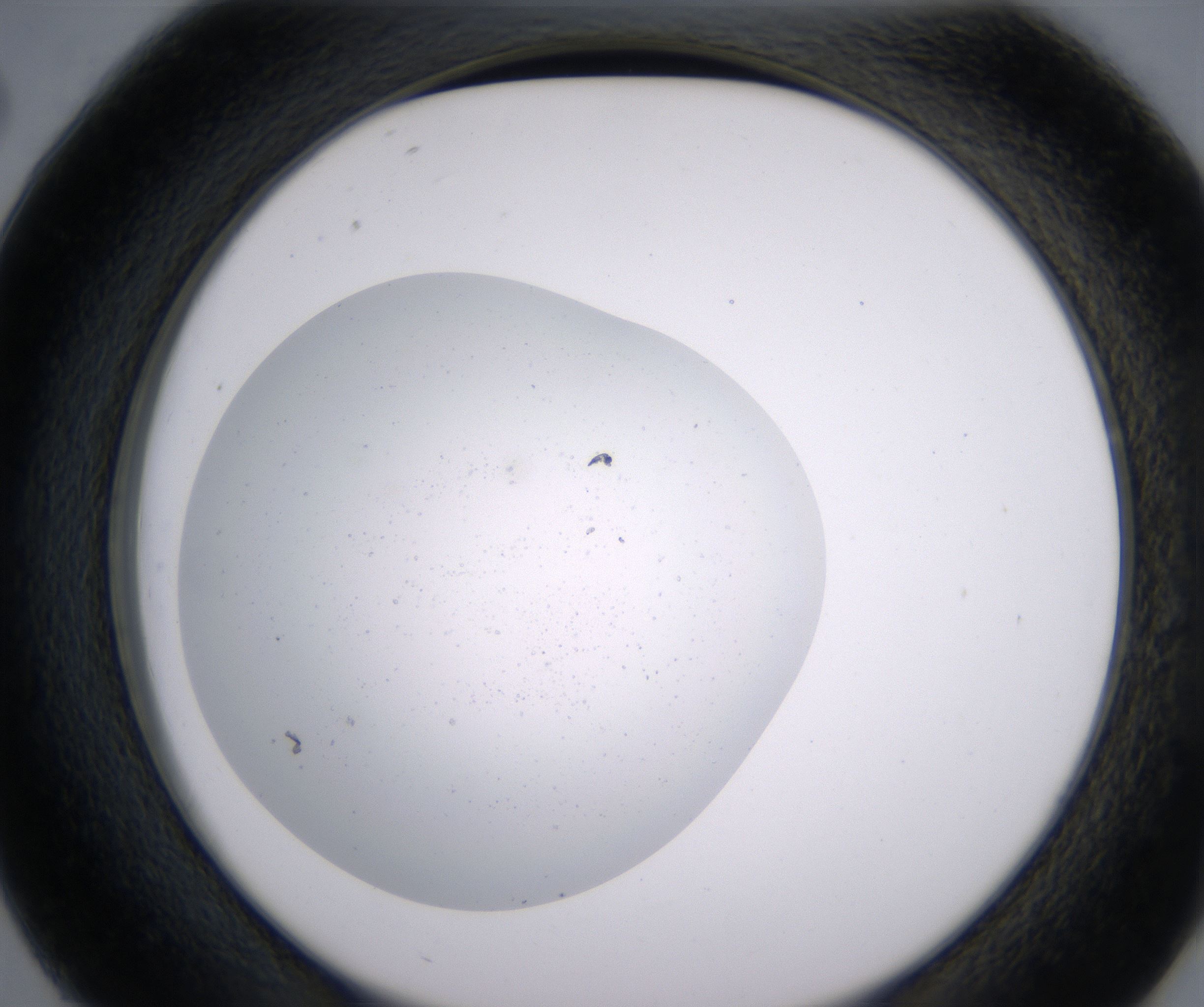 D2_HighResolution_Precipitate_2.jpg
