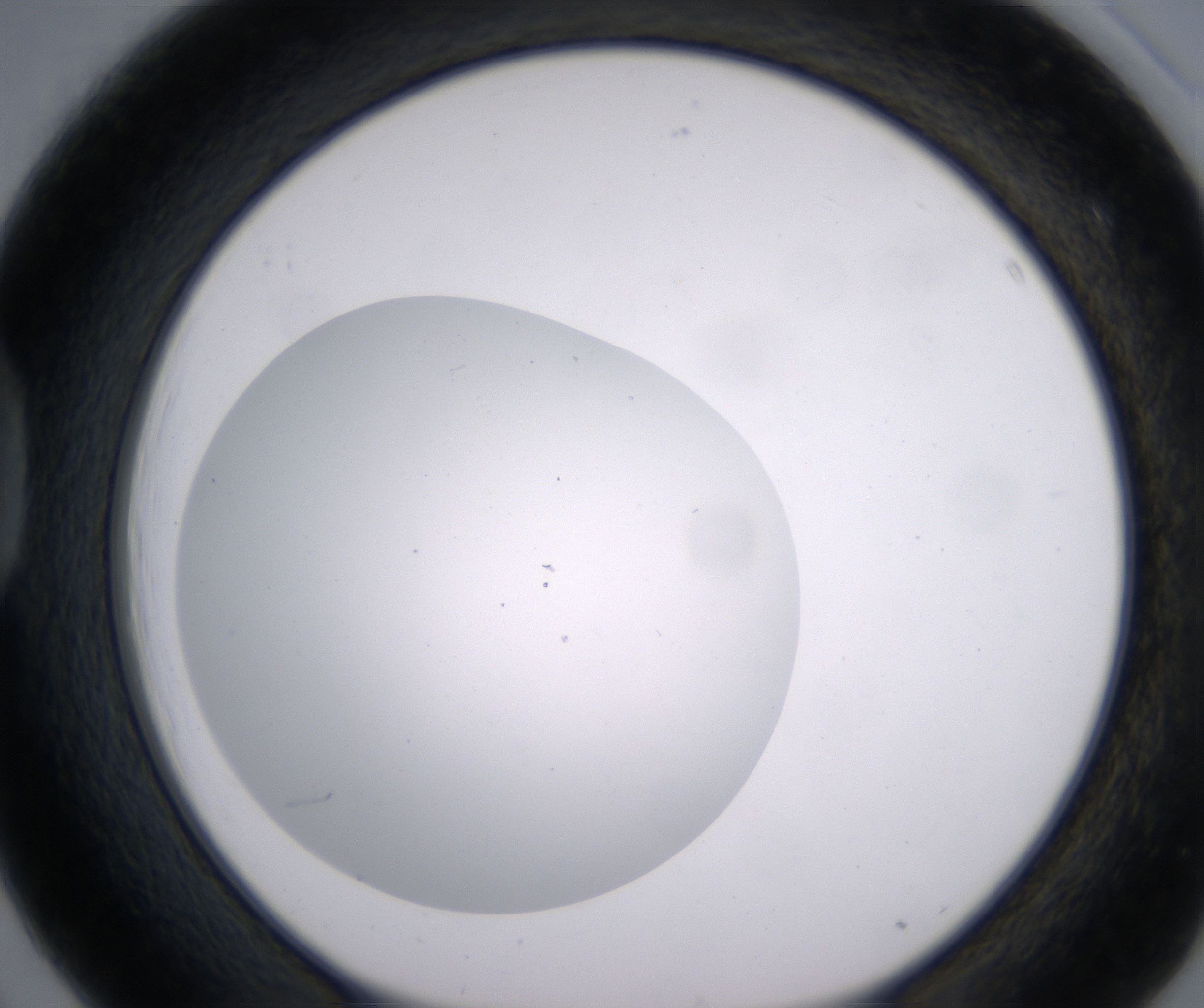 D3_HighResolution_Clear_1.jpg