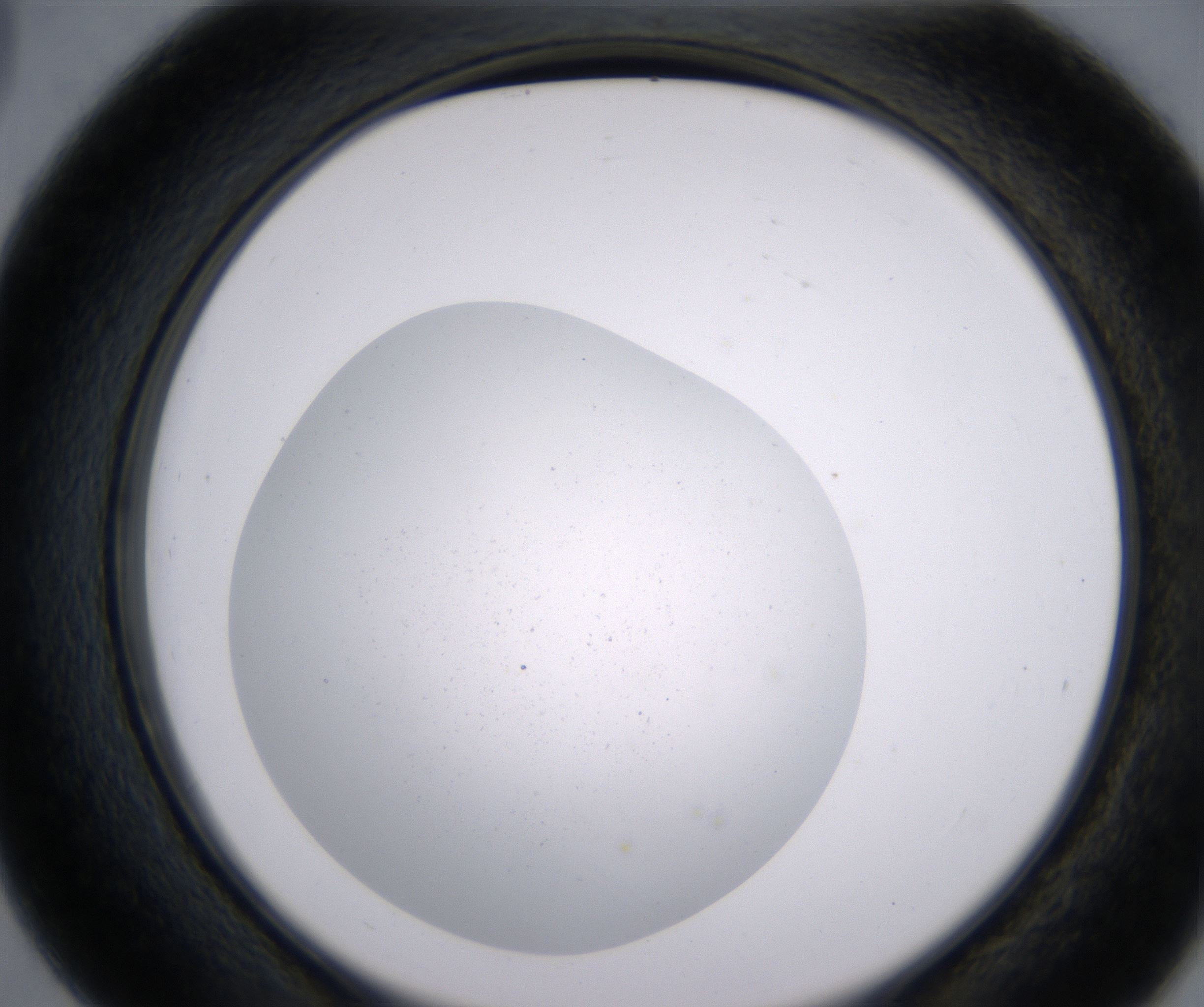 D3_HighResolution_Clear_2.jpg