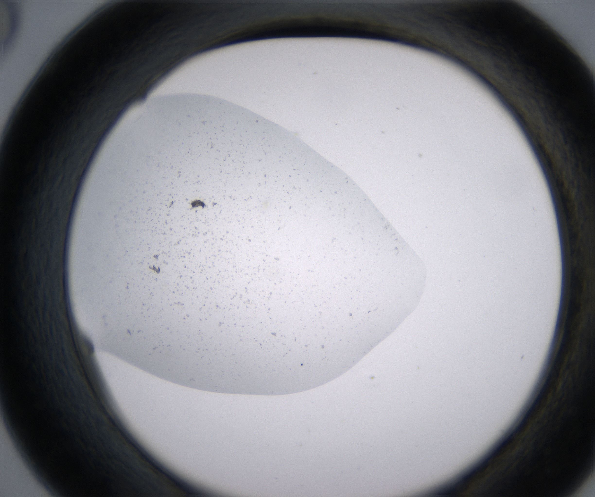 D6_HighResolution_Precipitate_2.jpg