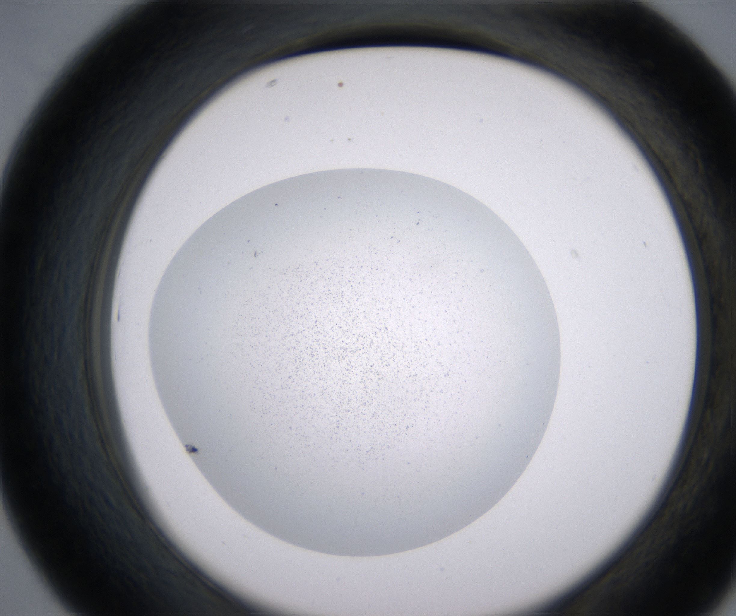 D7_HighResolution_Precipitate_2.jpg