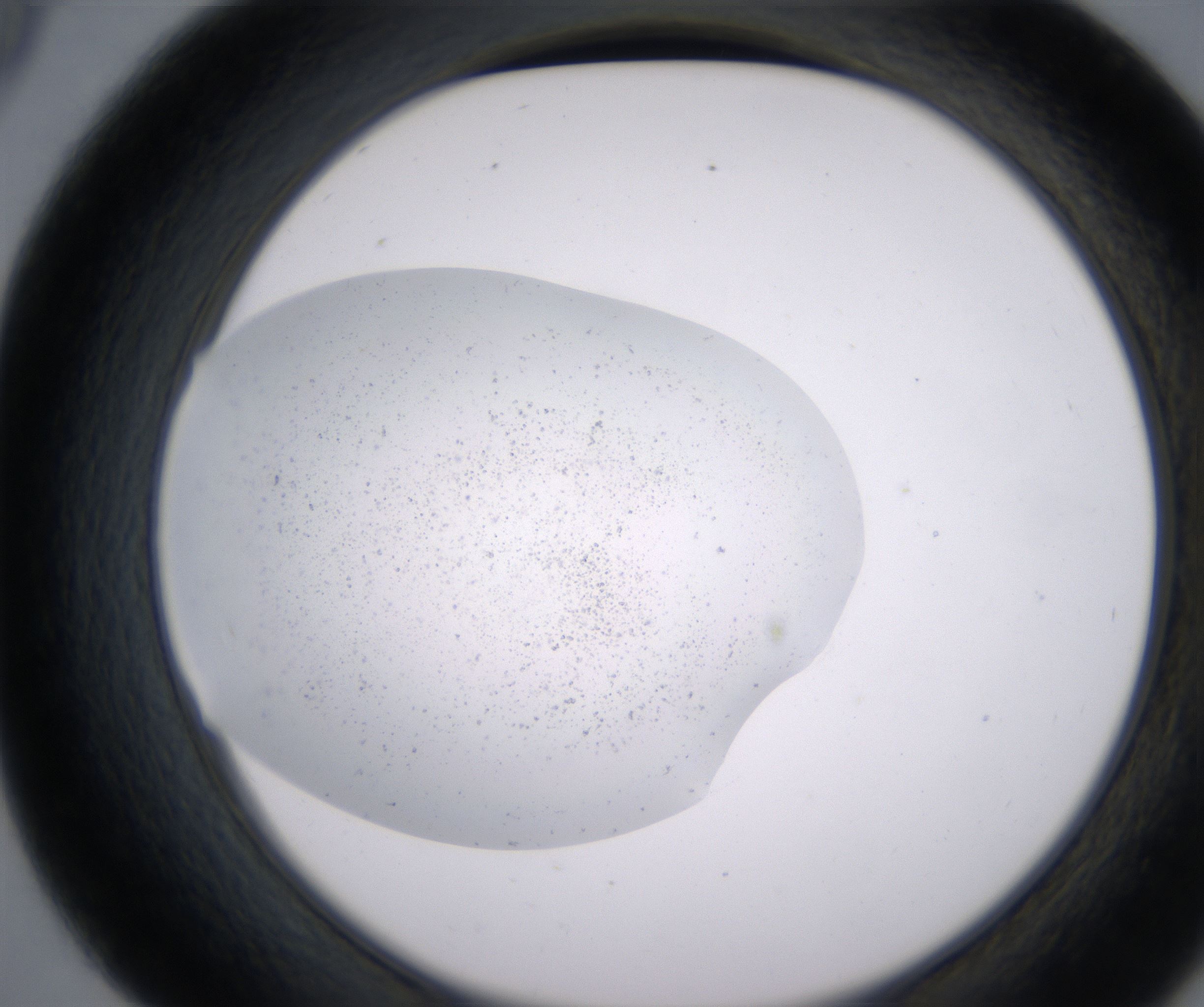 D9_HighResolution_Precipitate_2.jpg