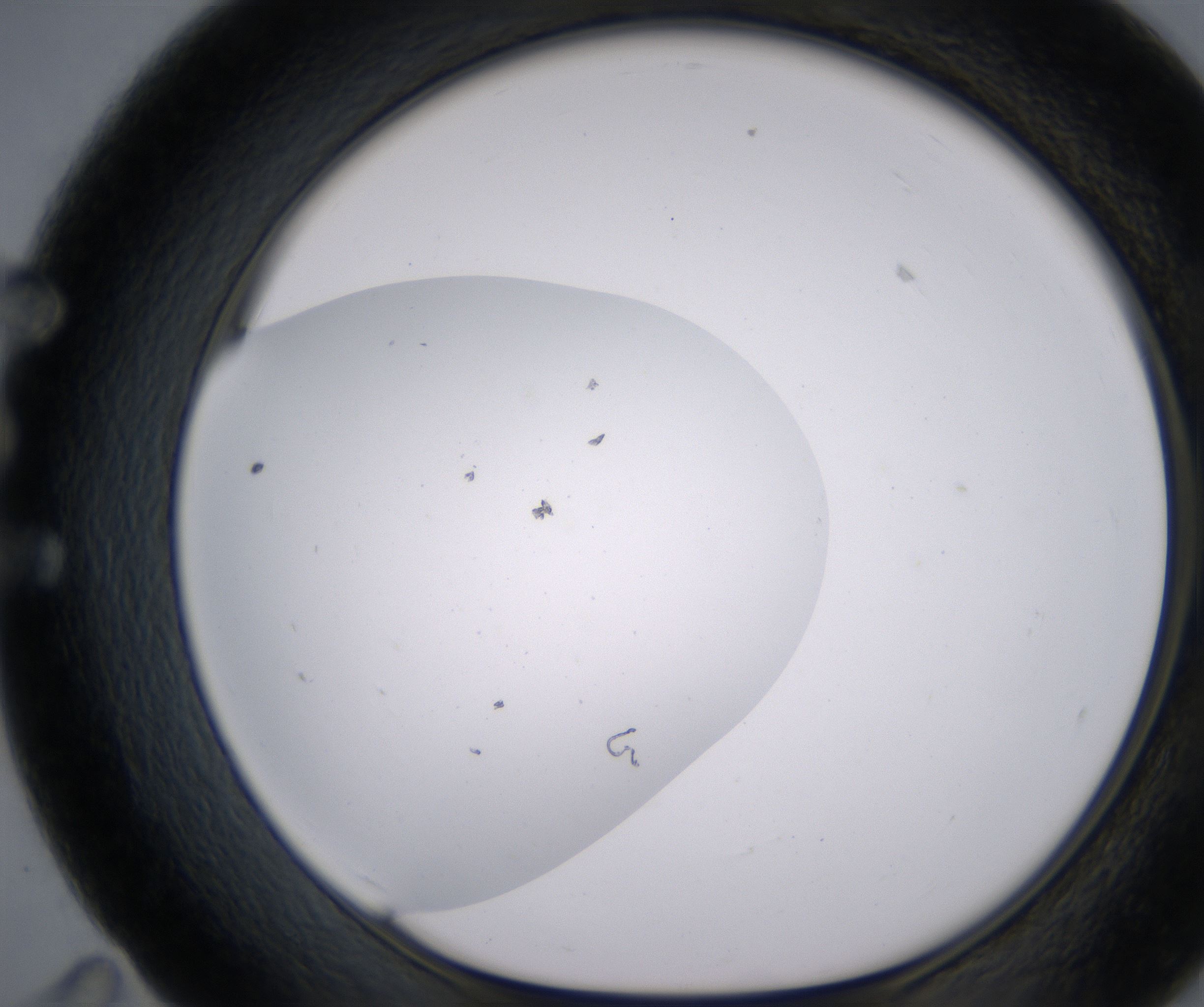 E11_HighResolution_Clear_1.jpg
