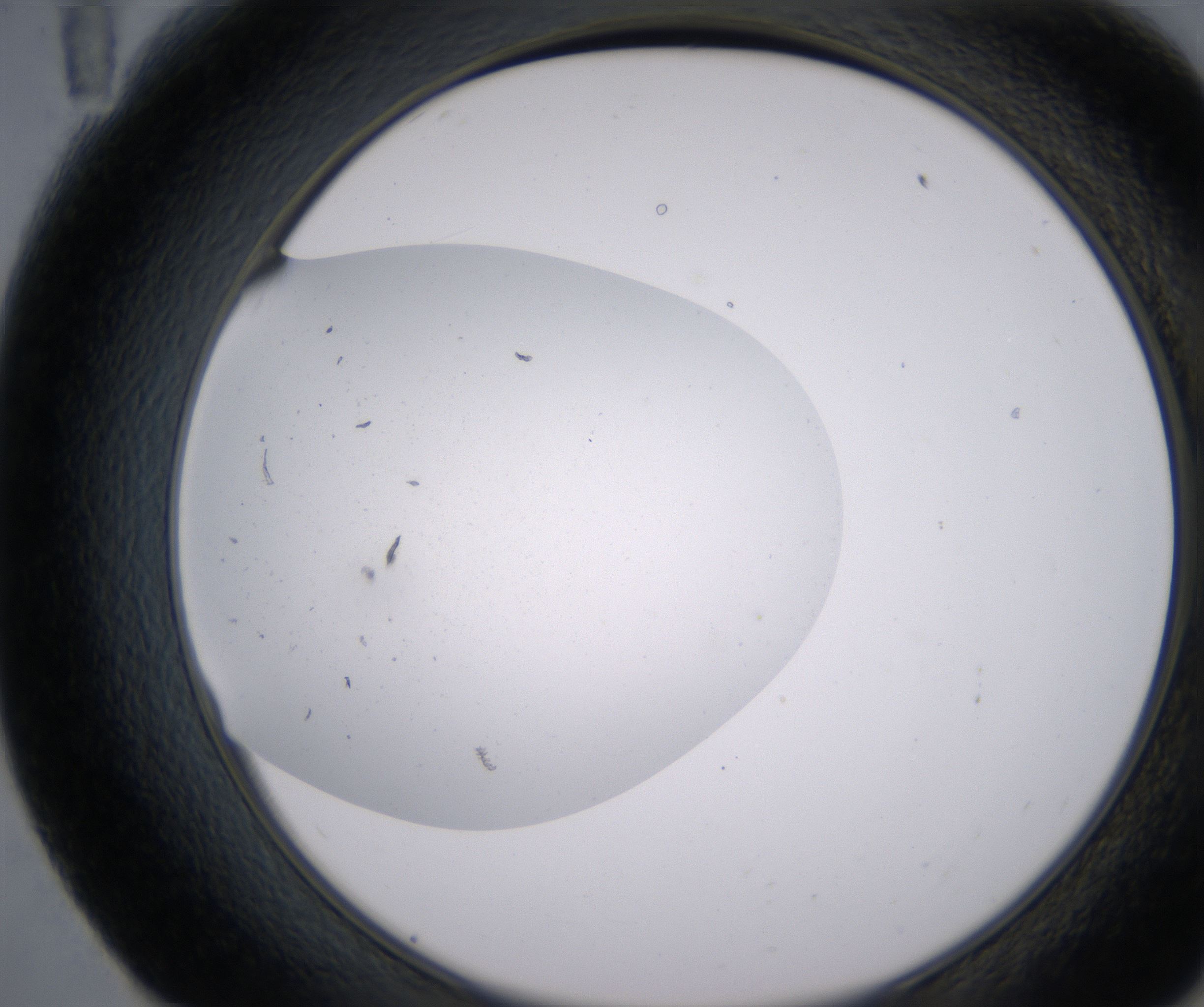 E11_HighResolution_Clear_2.jpg