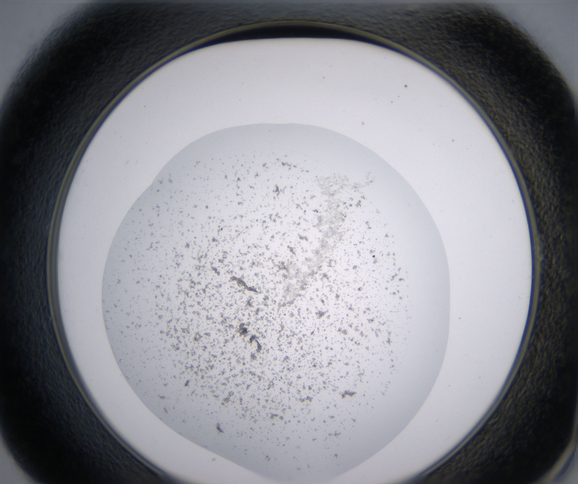 E1_HighResolution_Precipitate_2.jpg
