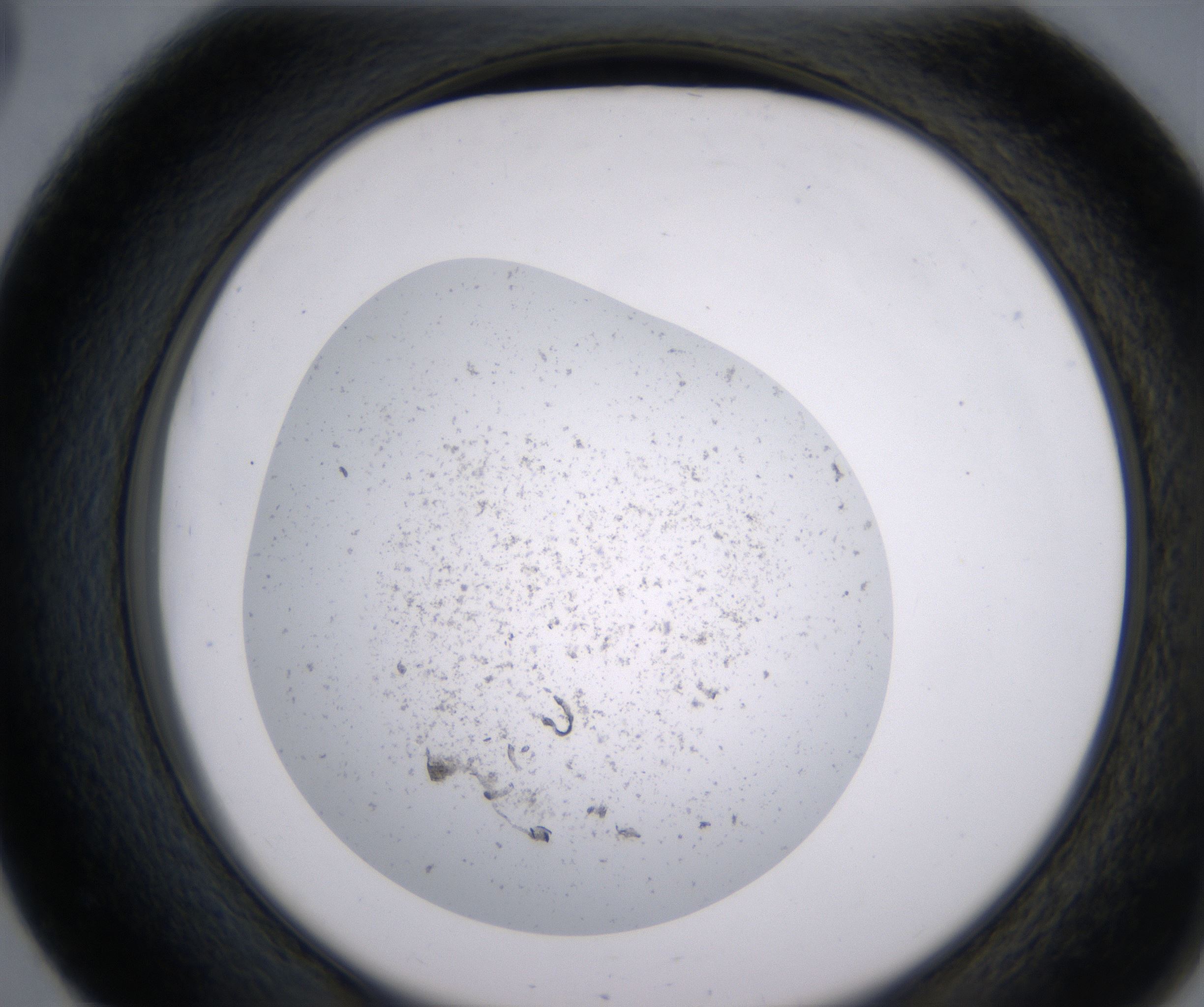 E3_HighResolution_Precipitate_2.jpg