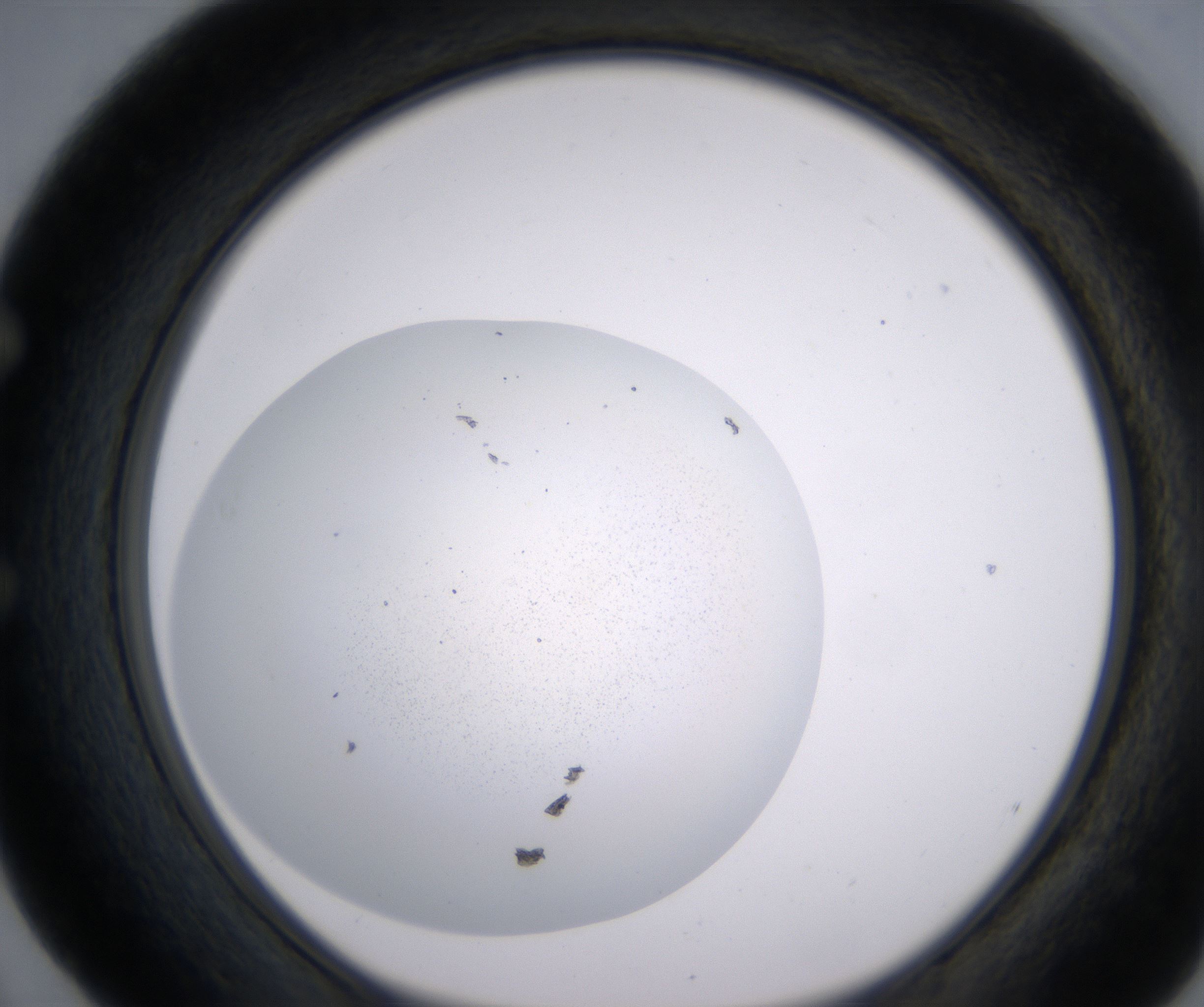 E4_HighResolution_Precipitate_1.jpg