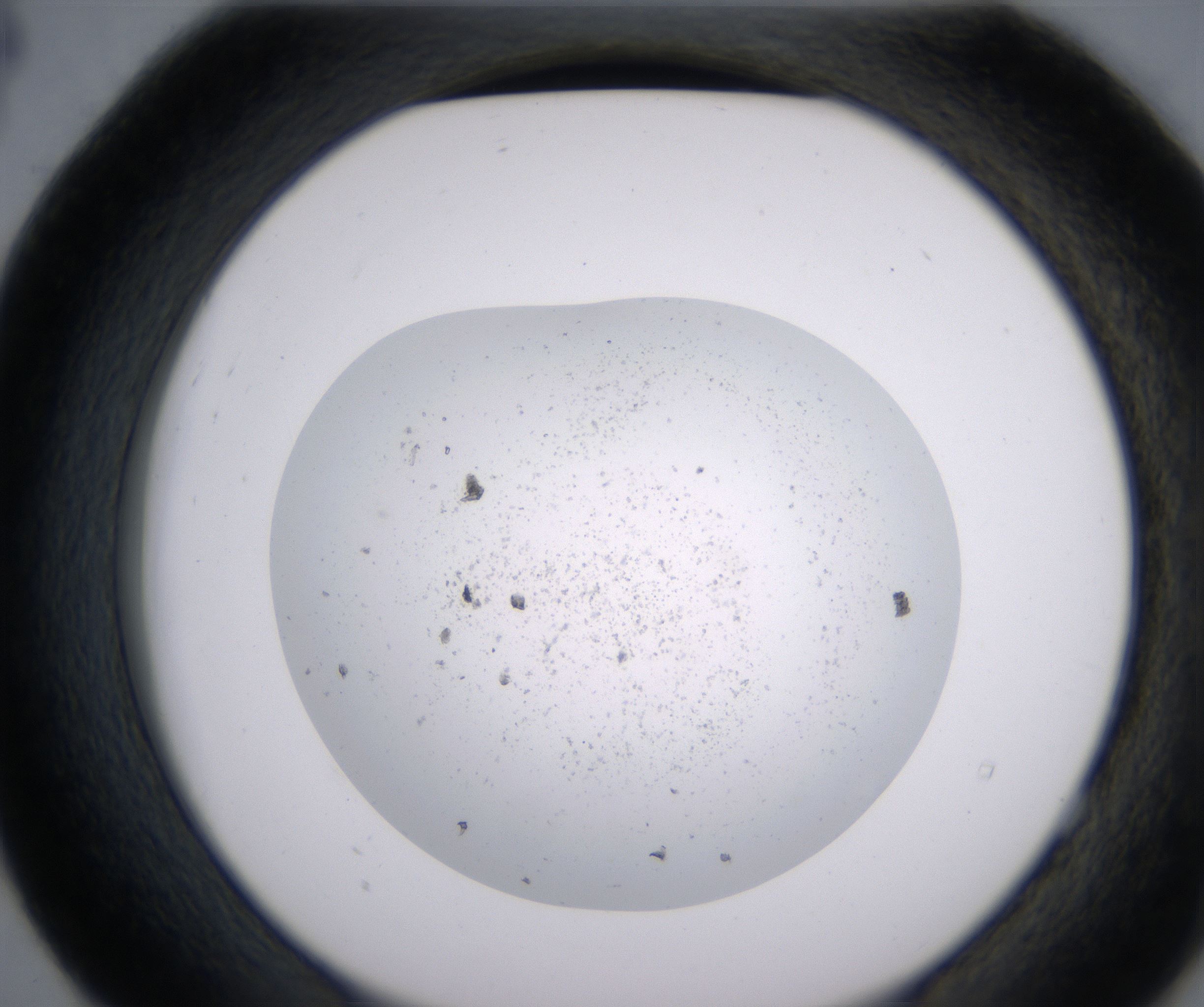 E4_HighResolution_Precipitate_2.jpg