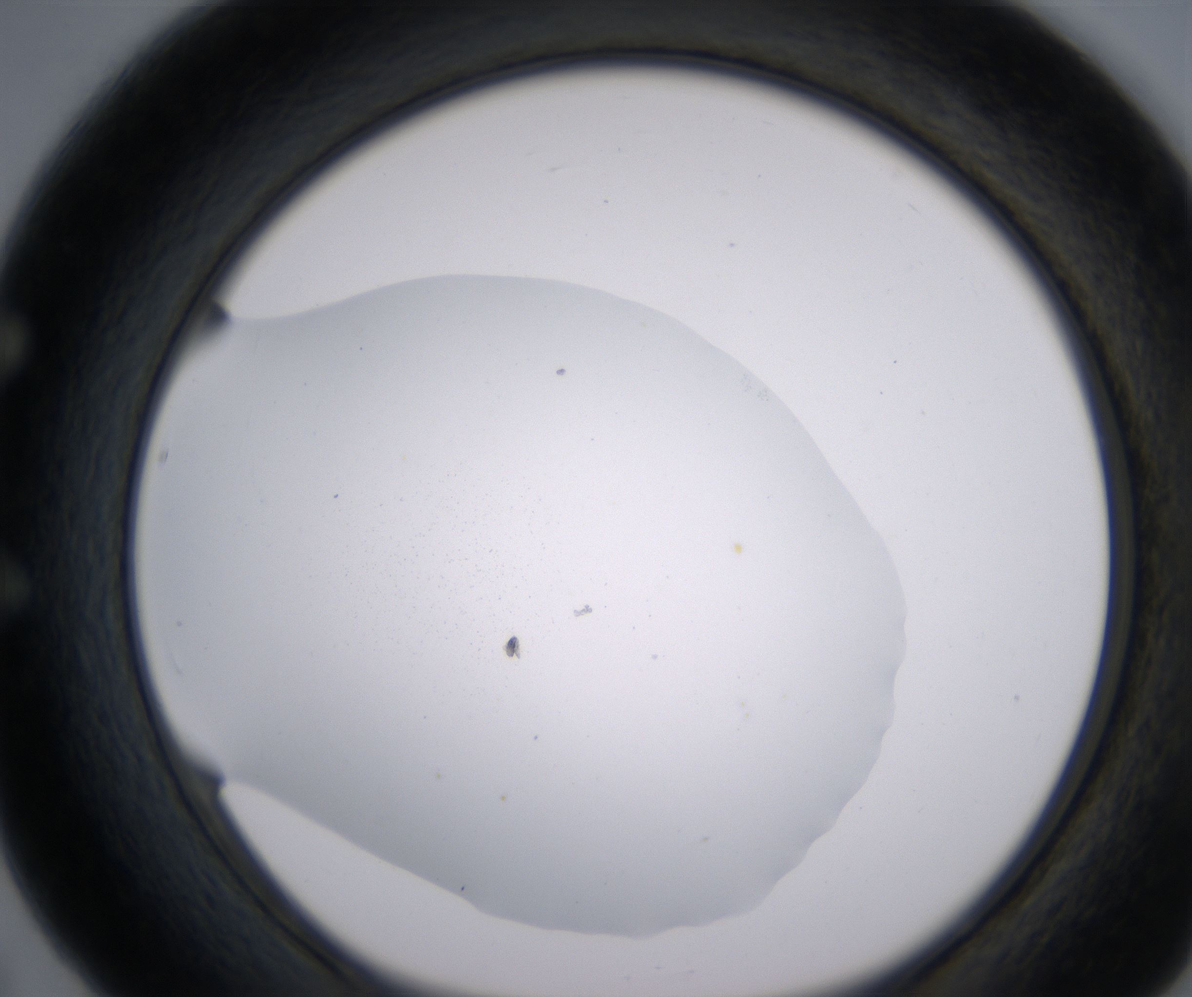 E5_HighResolution_Clear_1.jpg