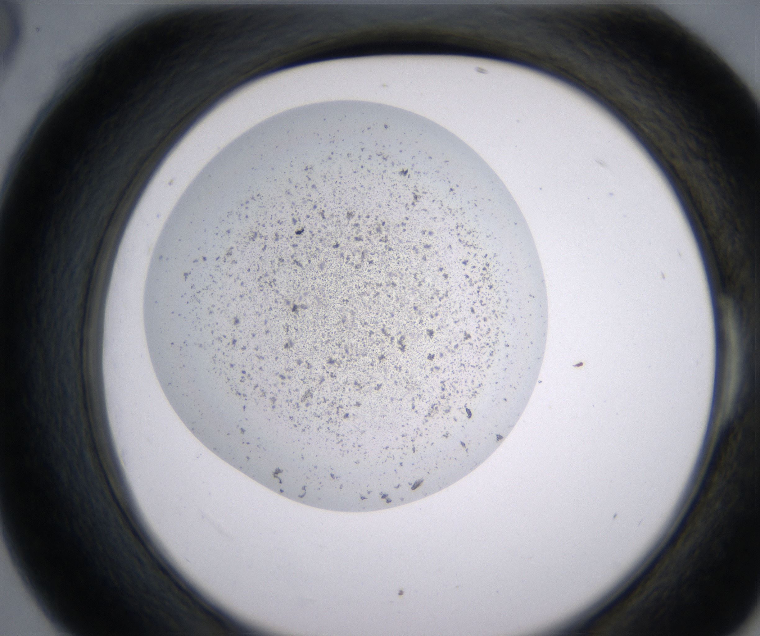 E6_HighResolution_Precipitate_2.jpg
