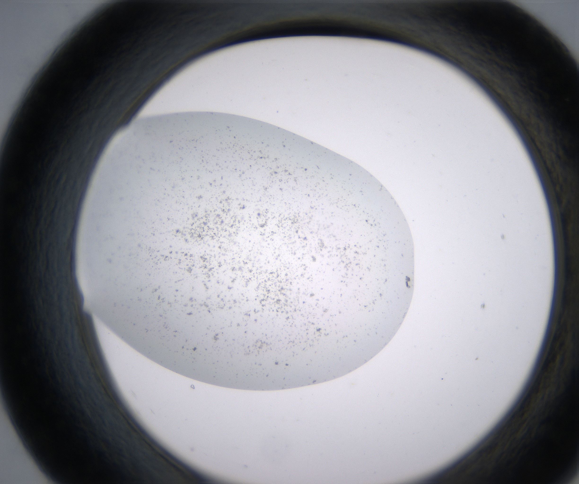 E7_HighResolution_Precipitate_2.jpg