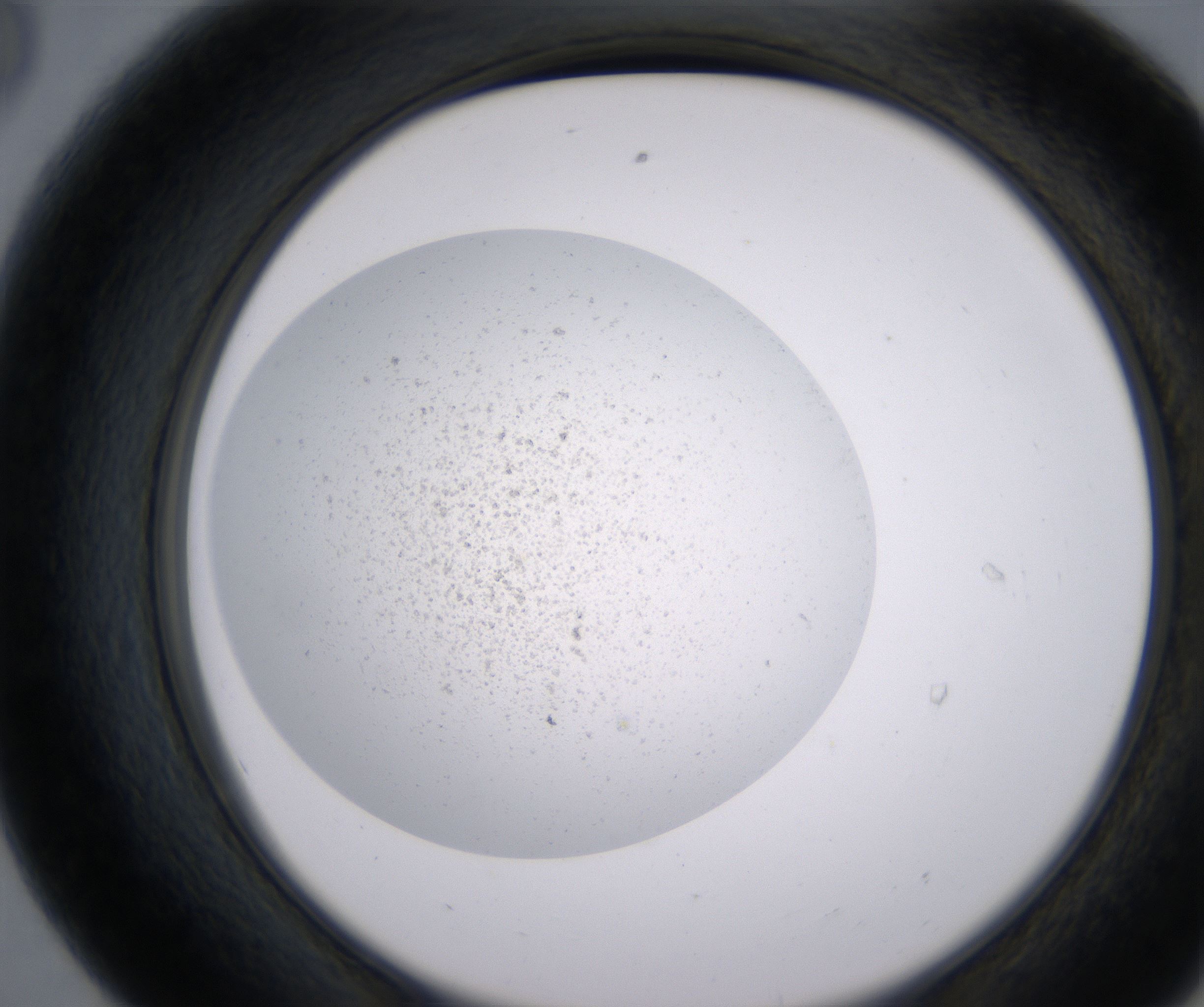 E8_HighResolution_Precipitate_2.jpg