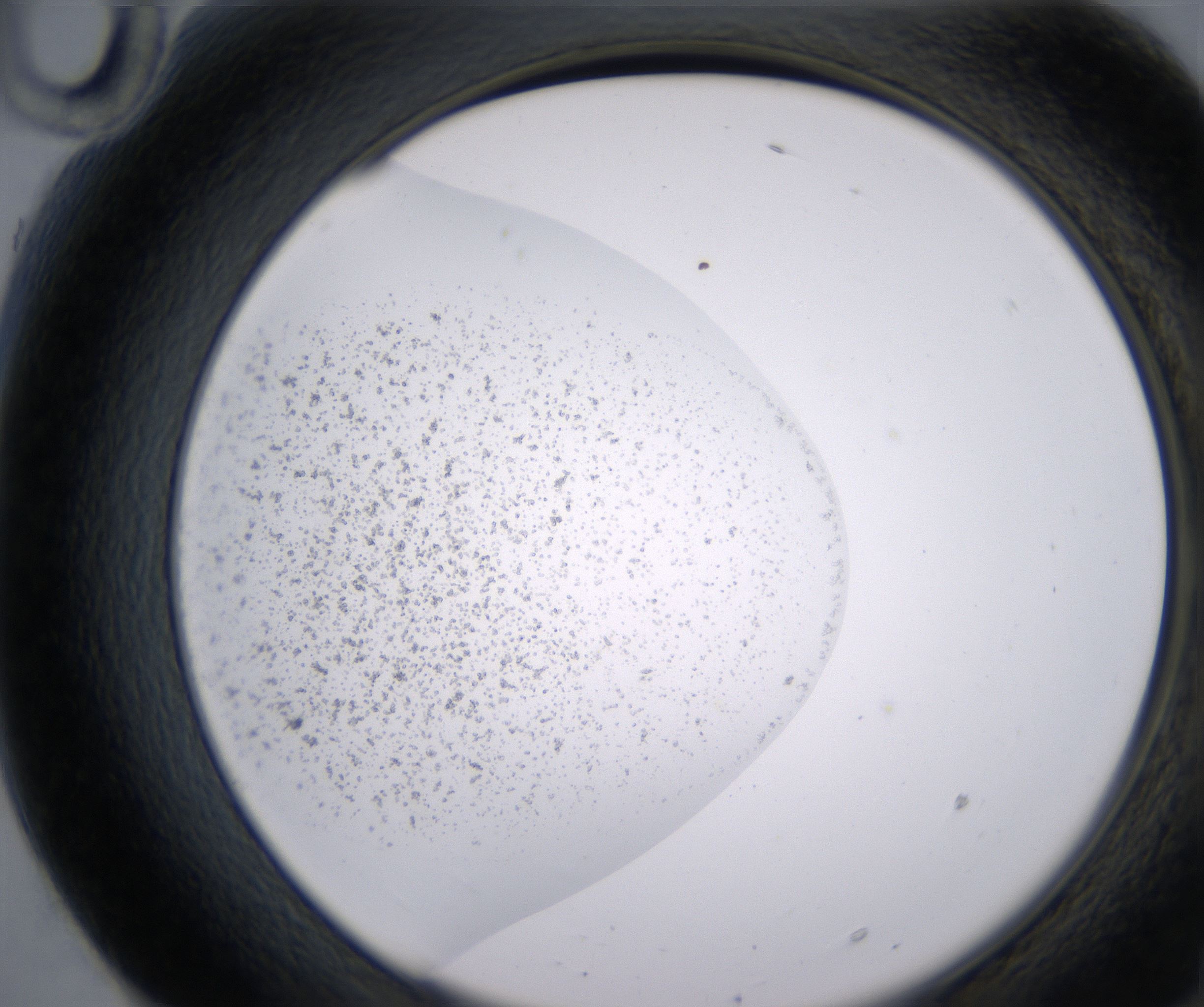 F10_HighResolution_Precipitate_2.jpg