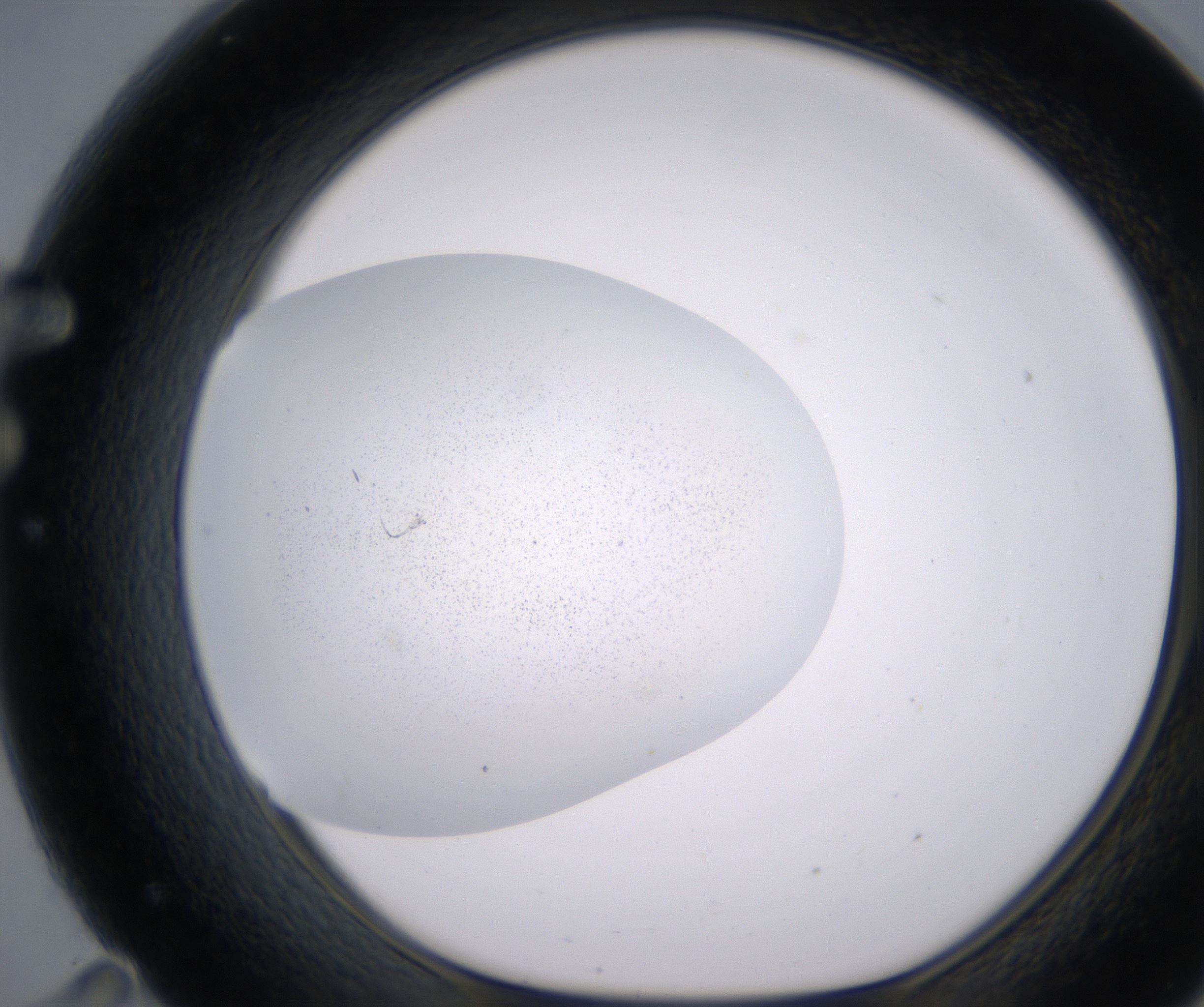 F11_HighResolution_Precipitate_1.jpg