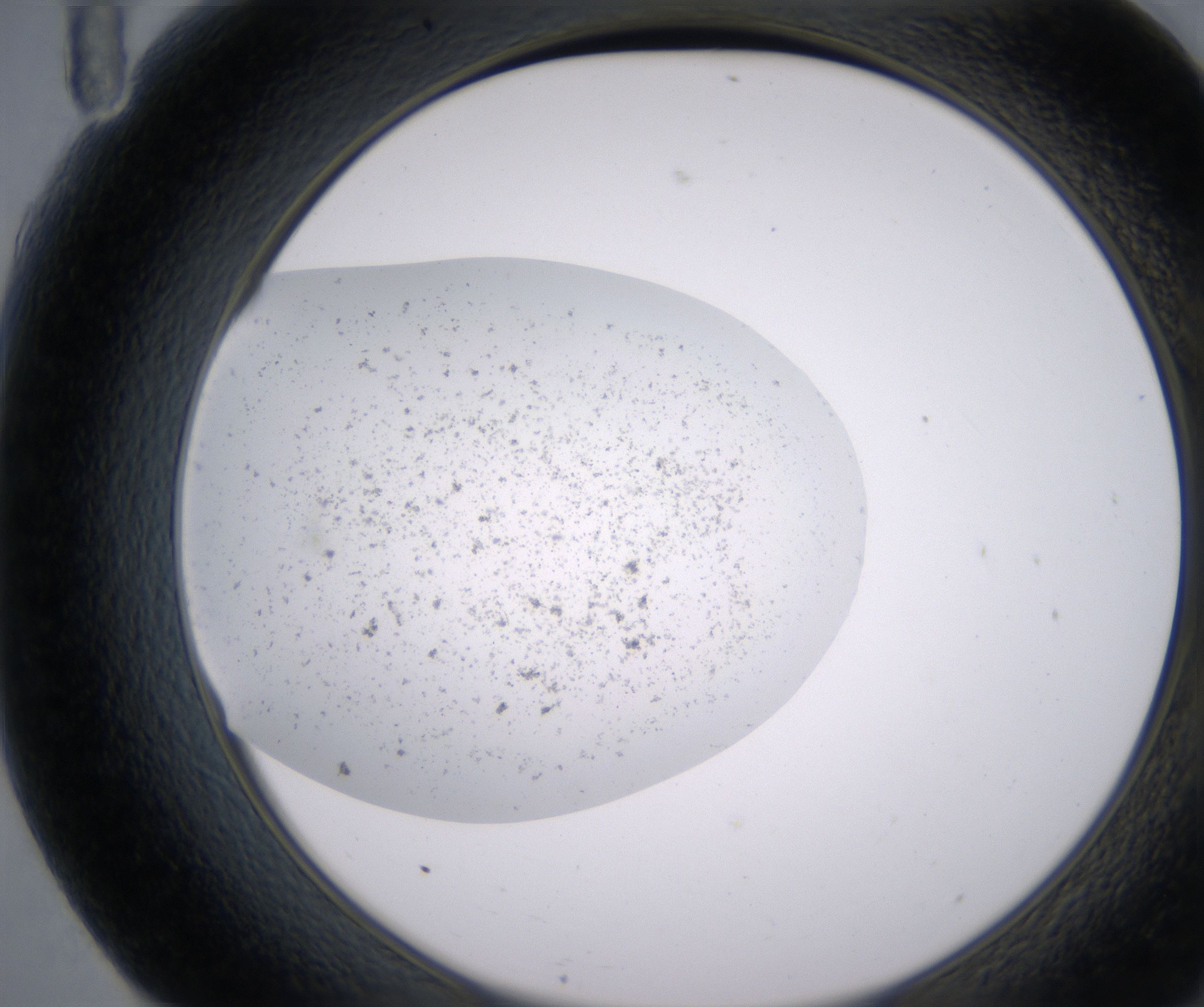 F11_HighResolution_Precipitate_2.jpg