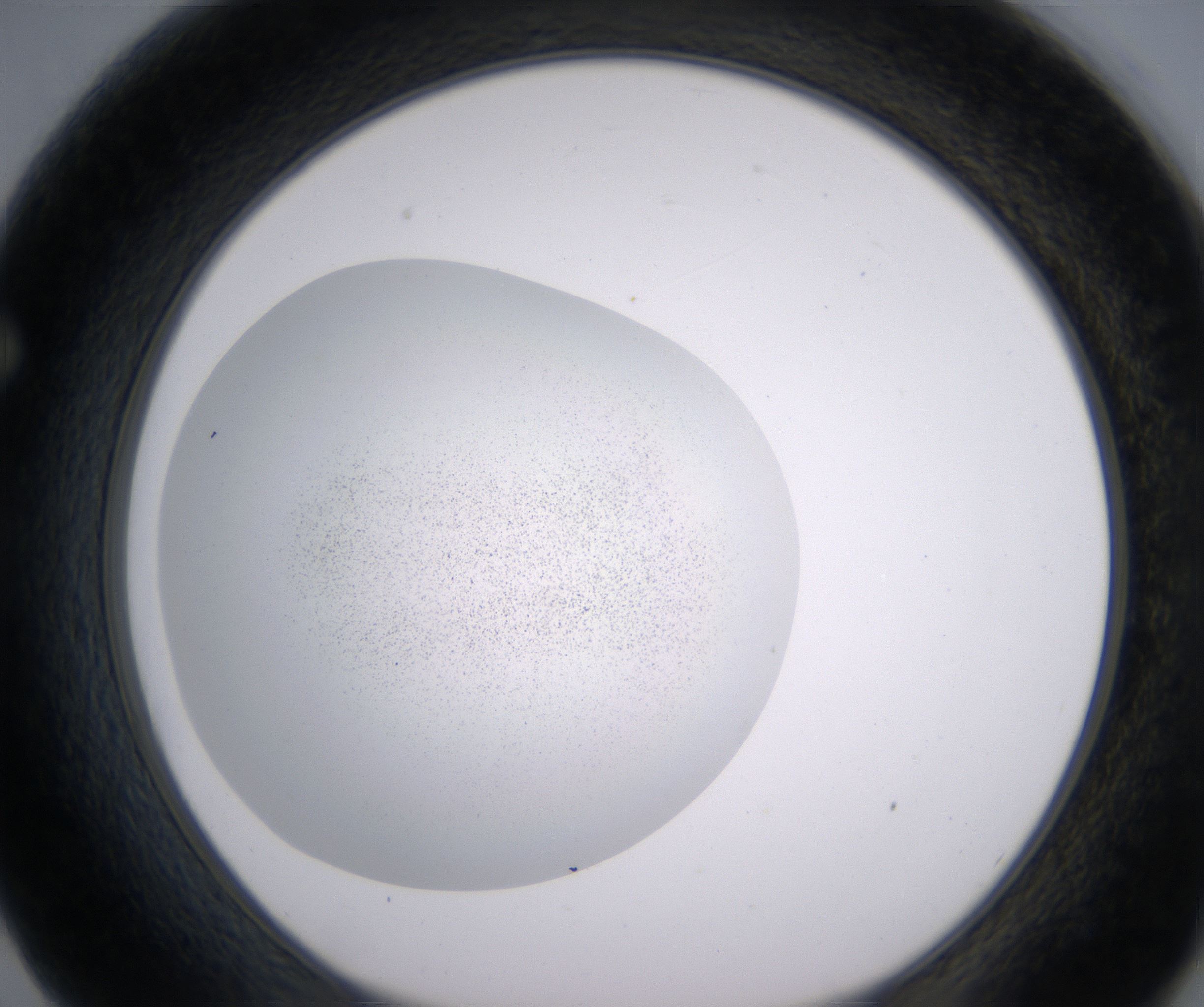 F2_HighResolution_Precipitate_1.jpg
