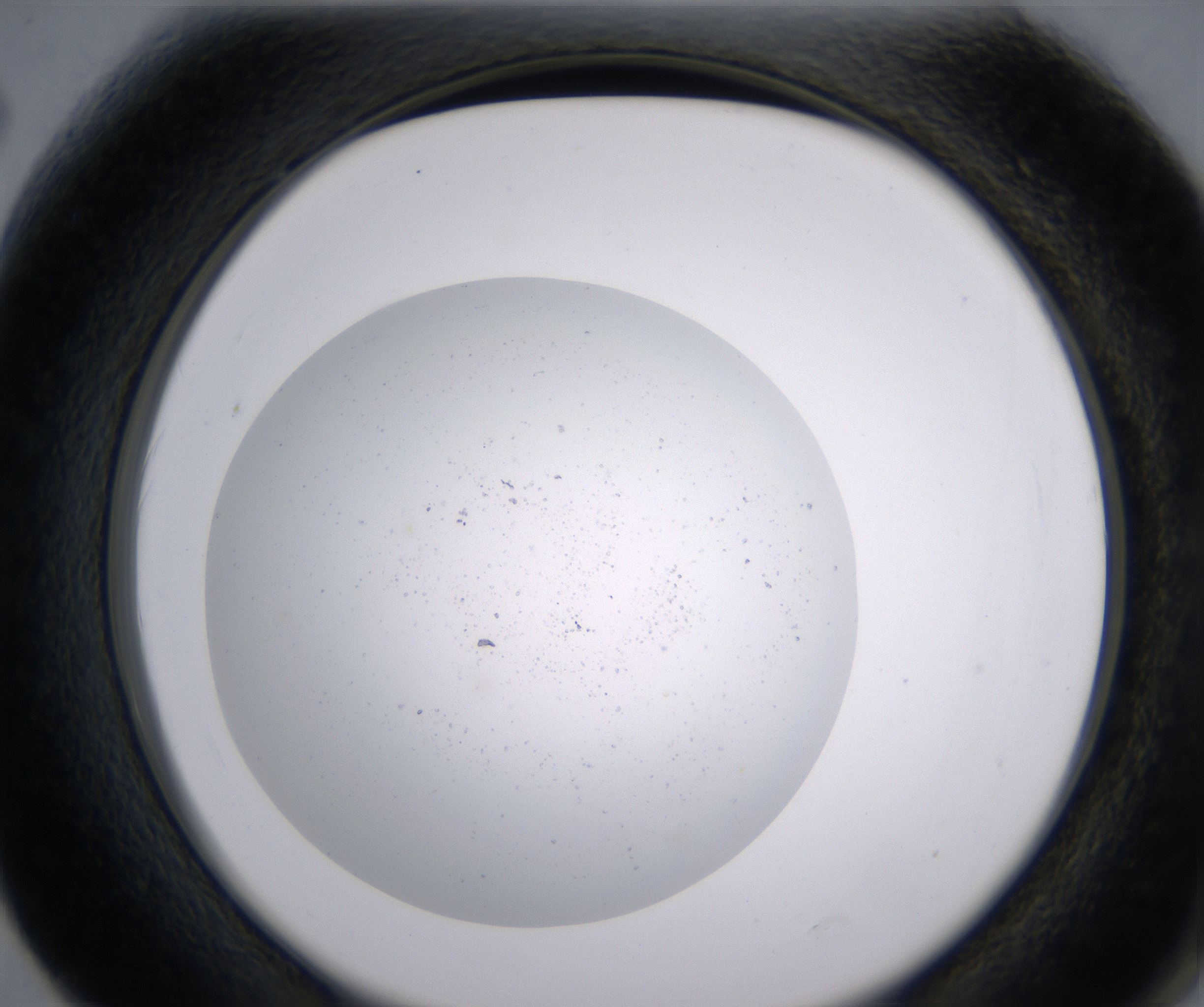 F2_HighResolution_Precipitate_2.jpg