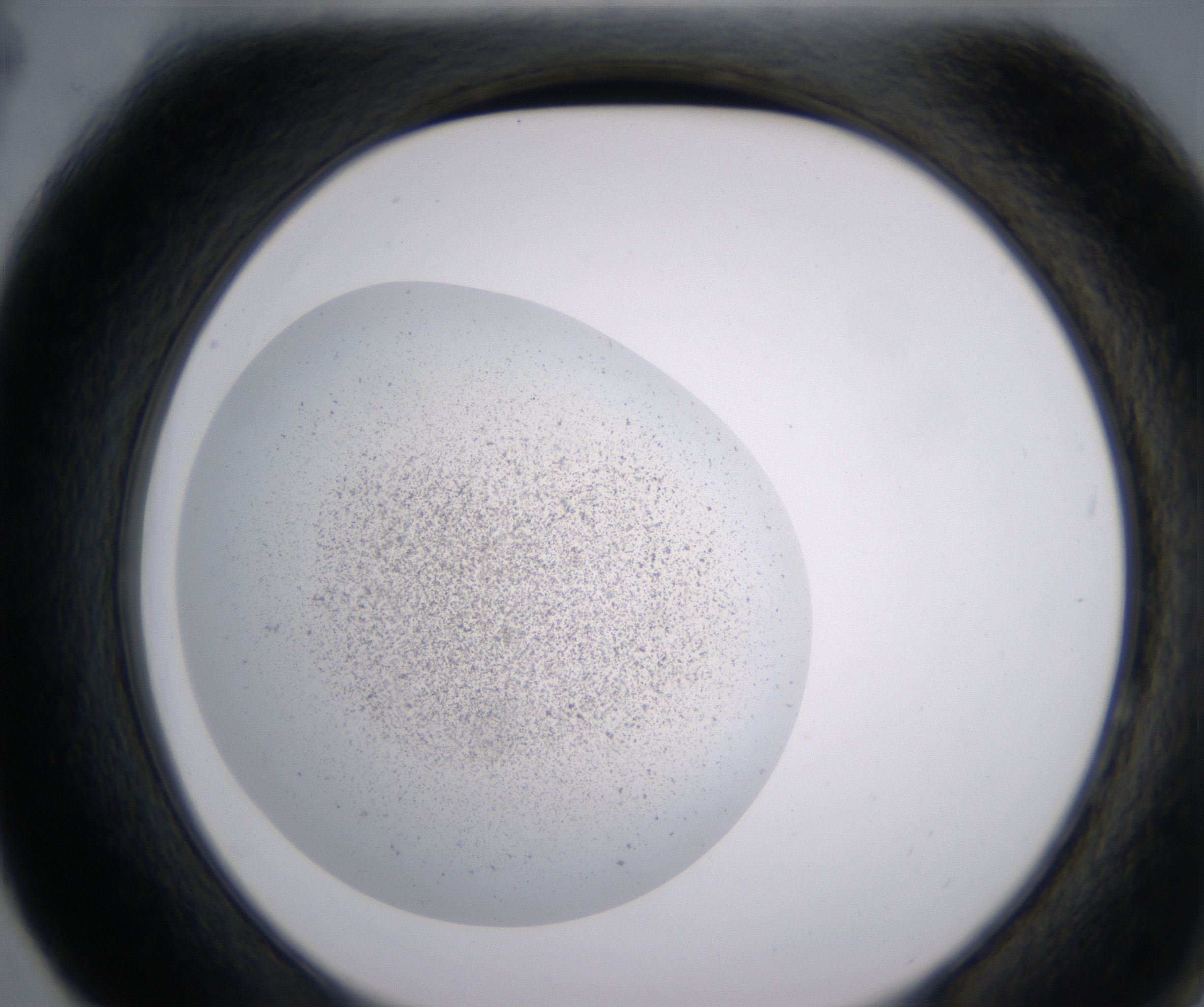 F4_HighResolution_Precipitate_2.jpg