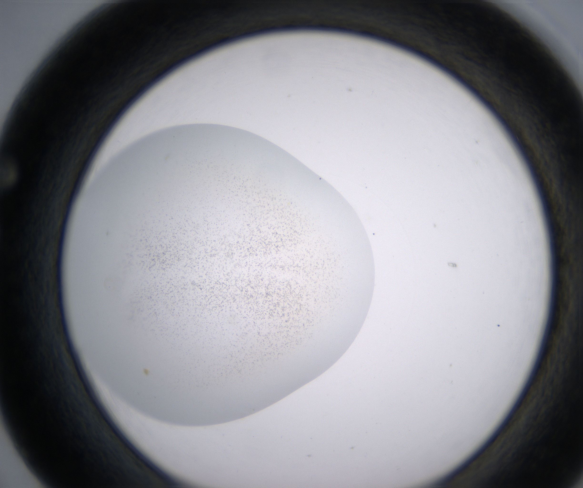 F5_HighResolution_Precipitate_1.jpg