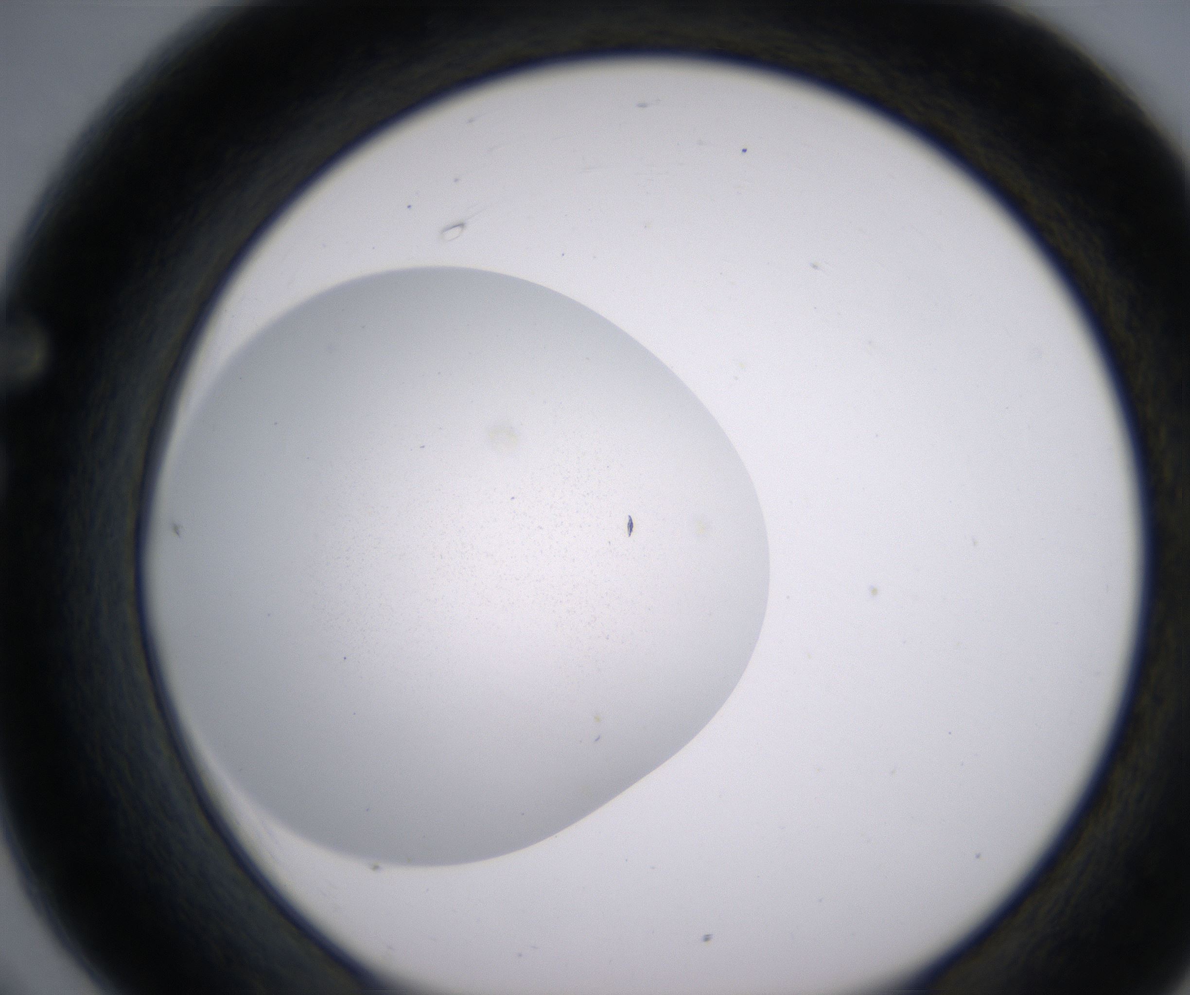F6_HighResolution_Precipitate_1.jpg