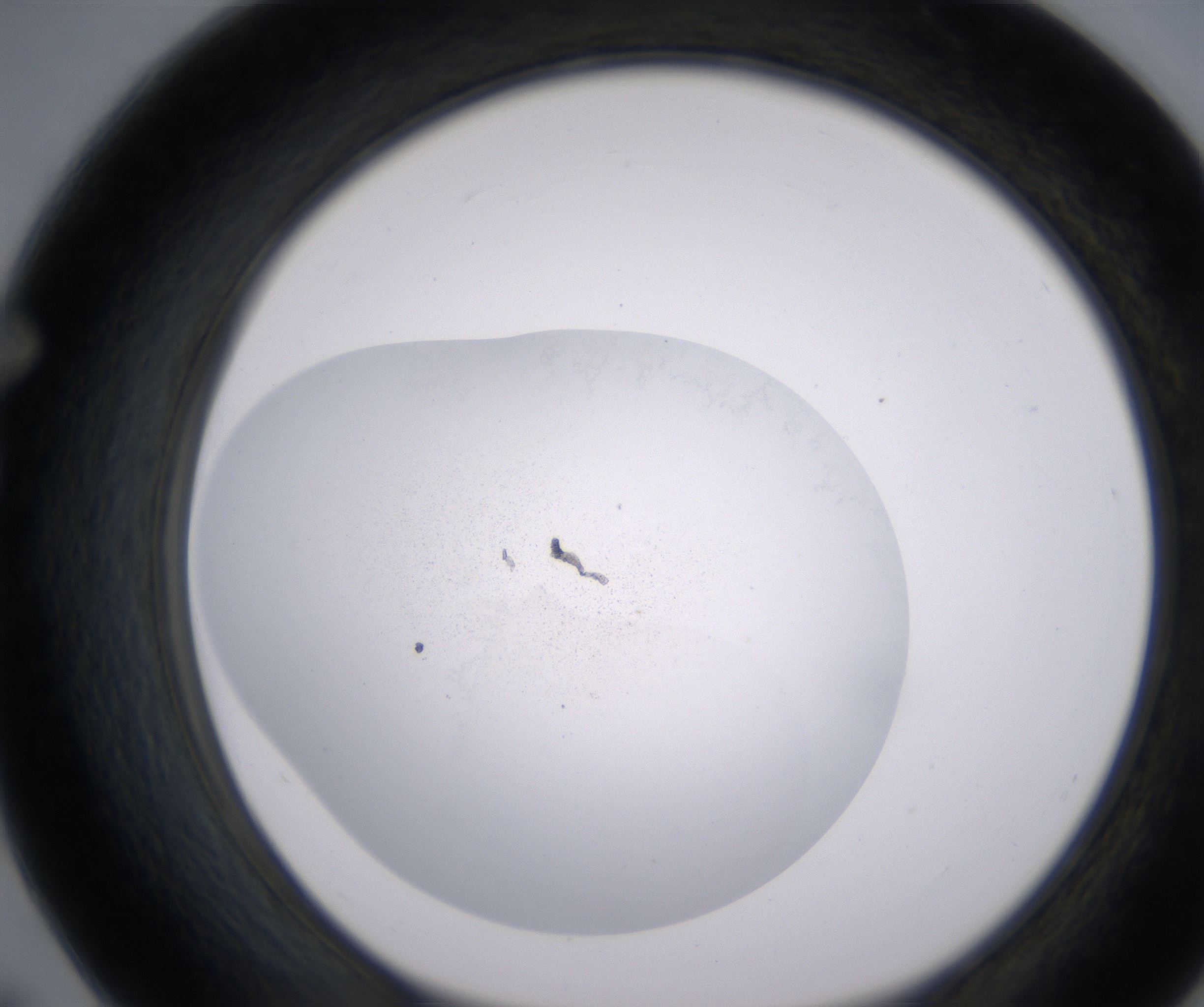 F7_HighResolution_Precipitate_1.jpg
