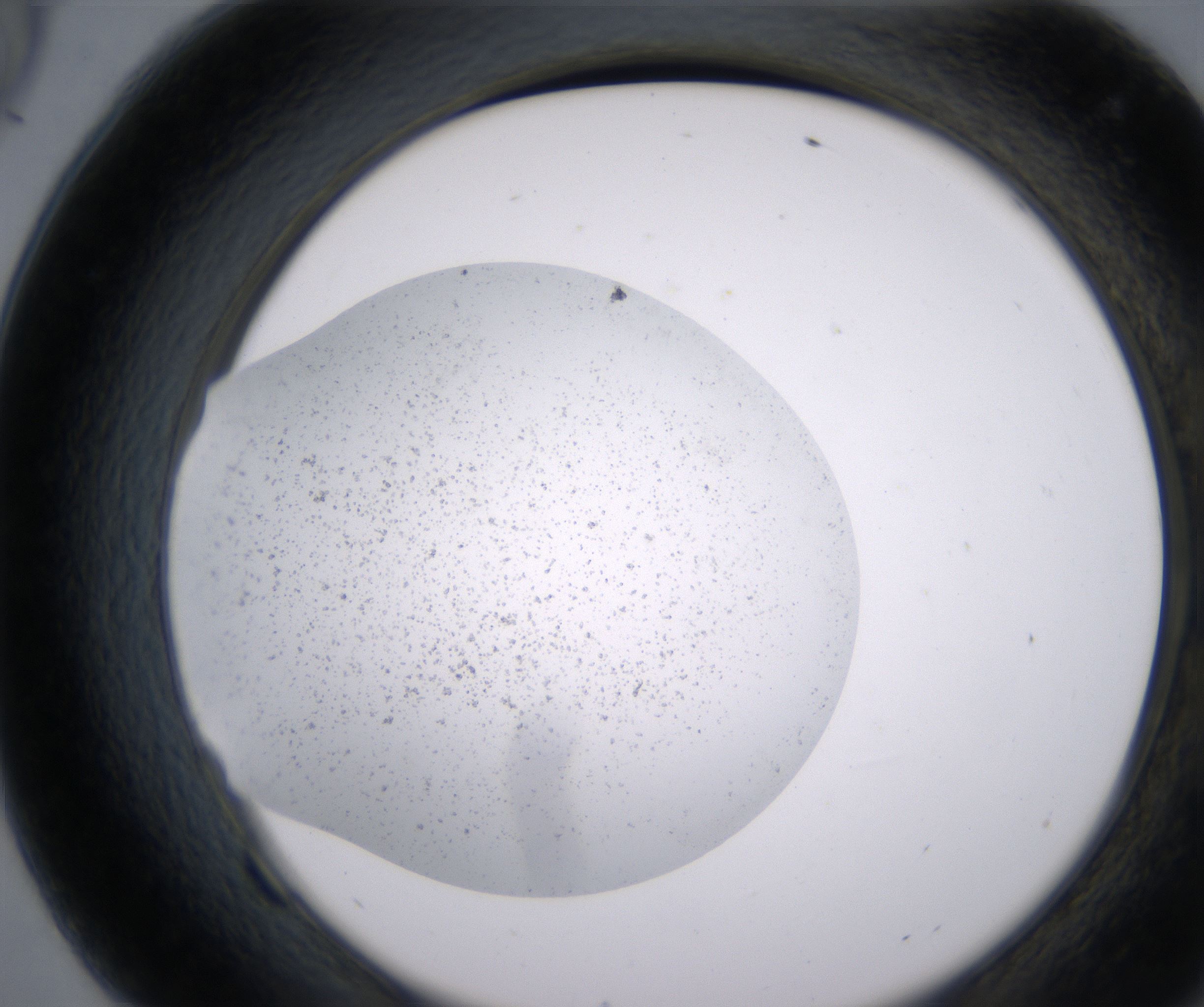 F9_HighResolution_Precipitate_2.jpg