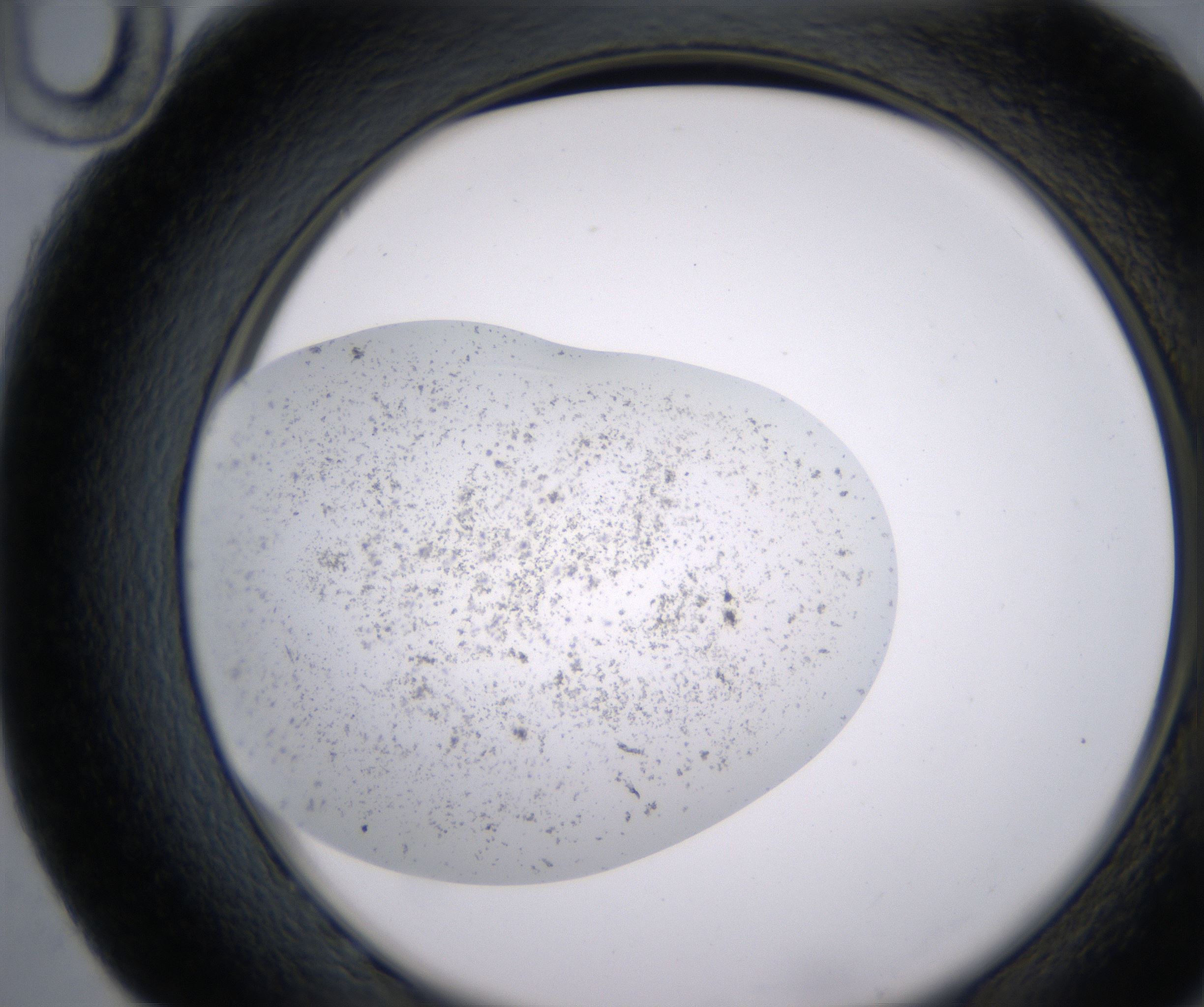 G10_HighResolution_Precipitate_2.jpg