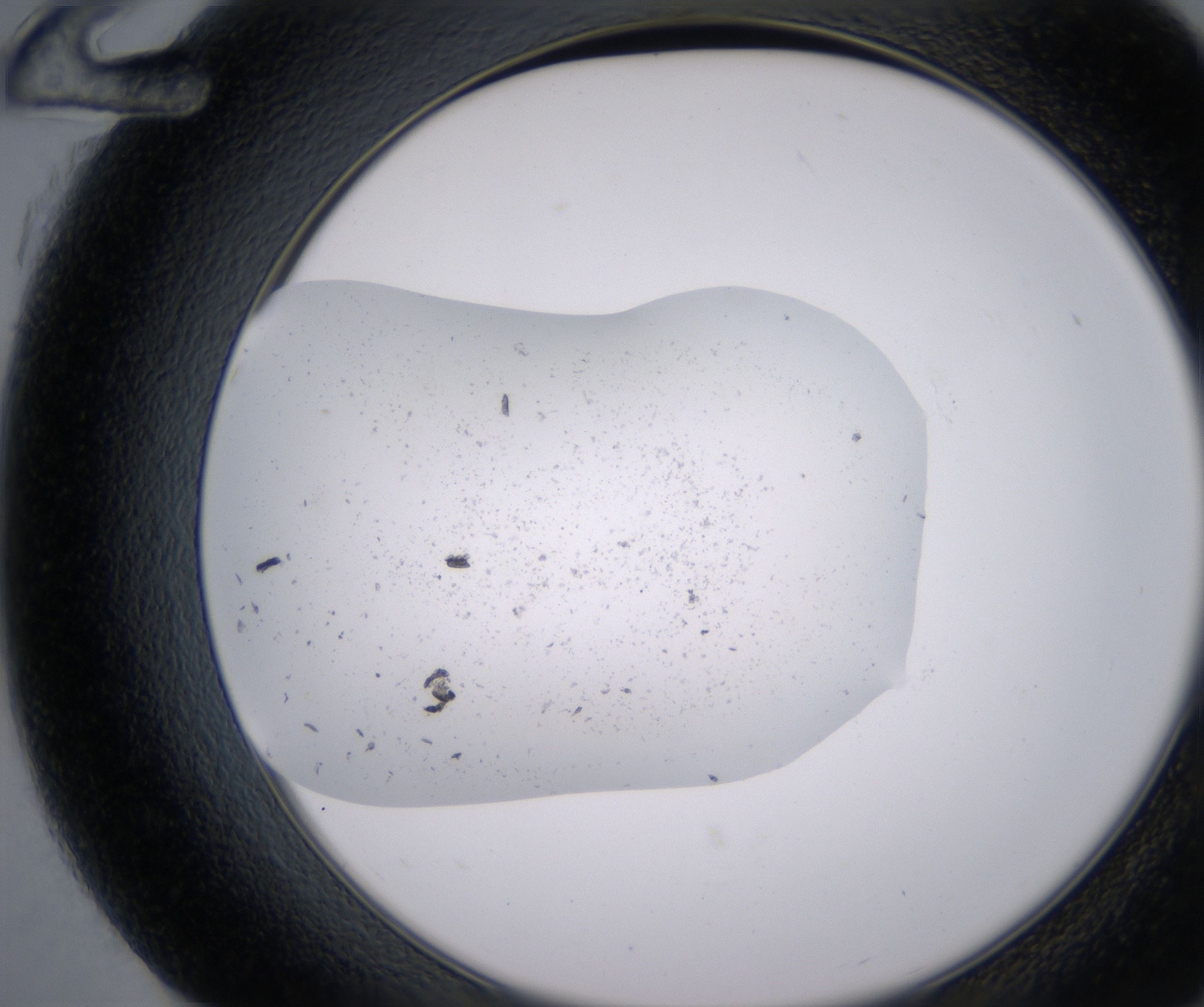 G12_HighResolution_Precipitate_2.jpg