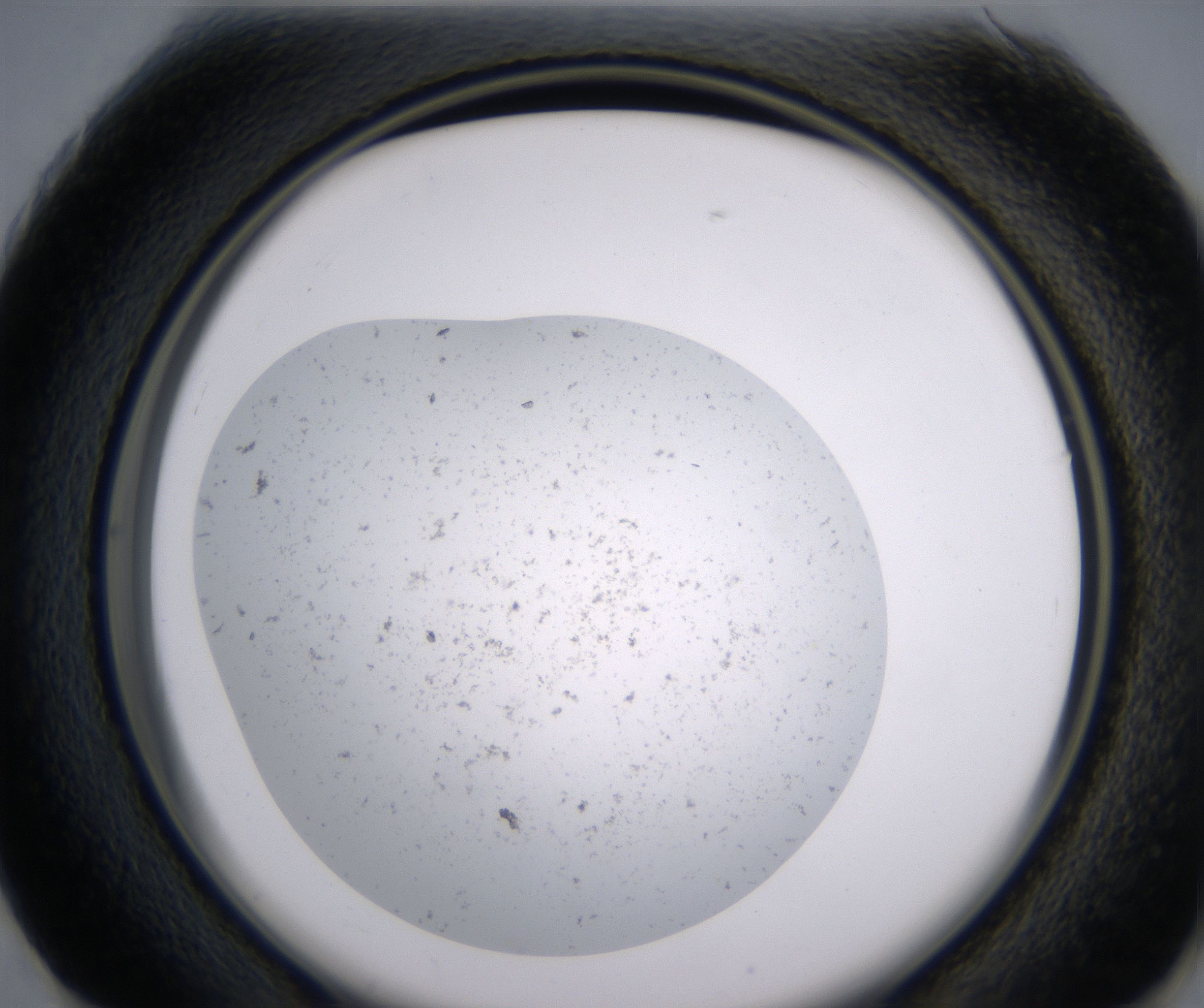 G1_HighResolution_Precipitate_2.jpg