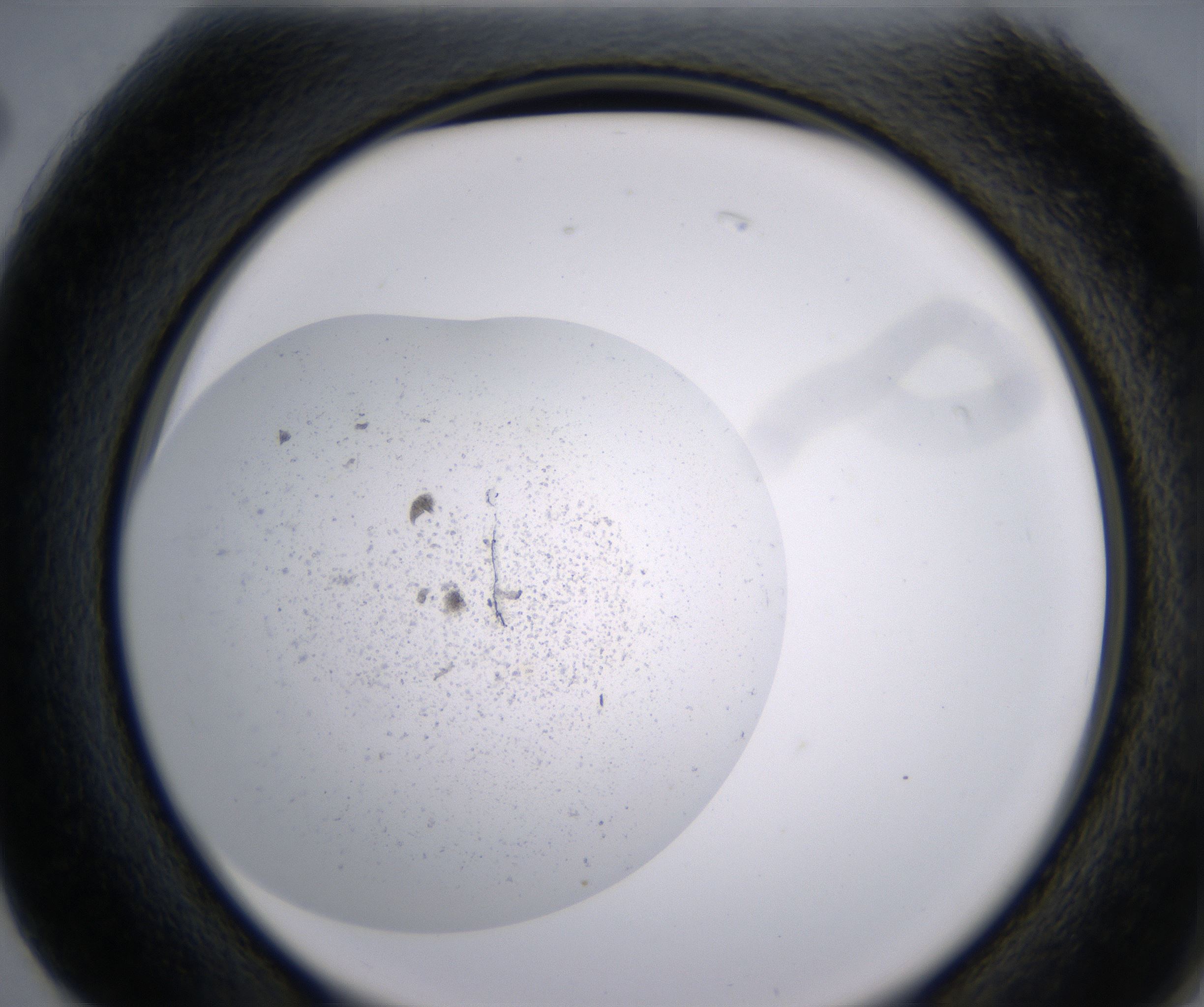 G2_HighResolution_Precipitate_2.jpg