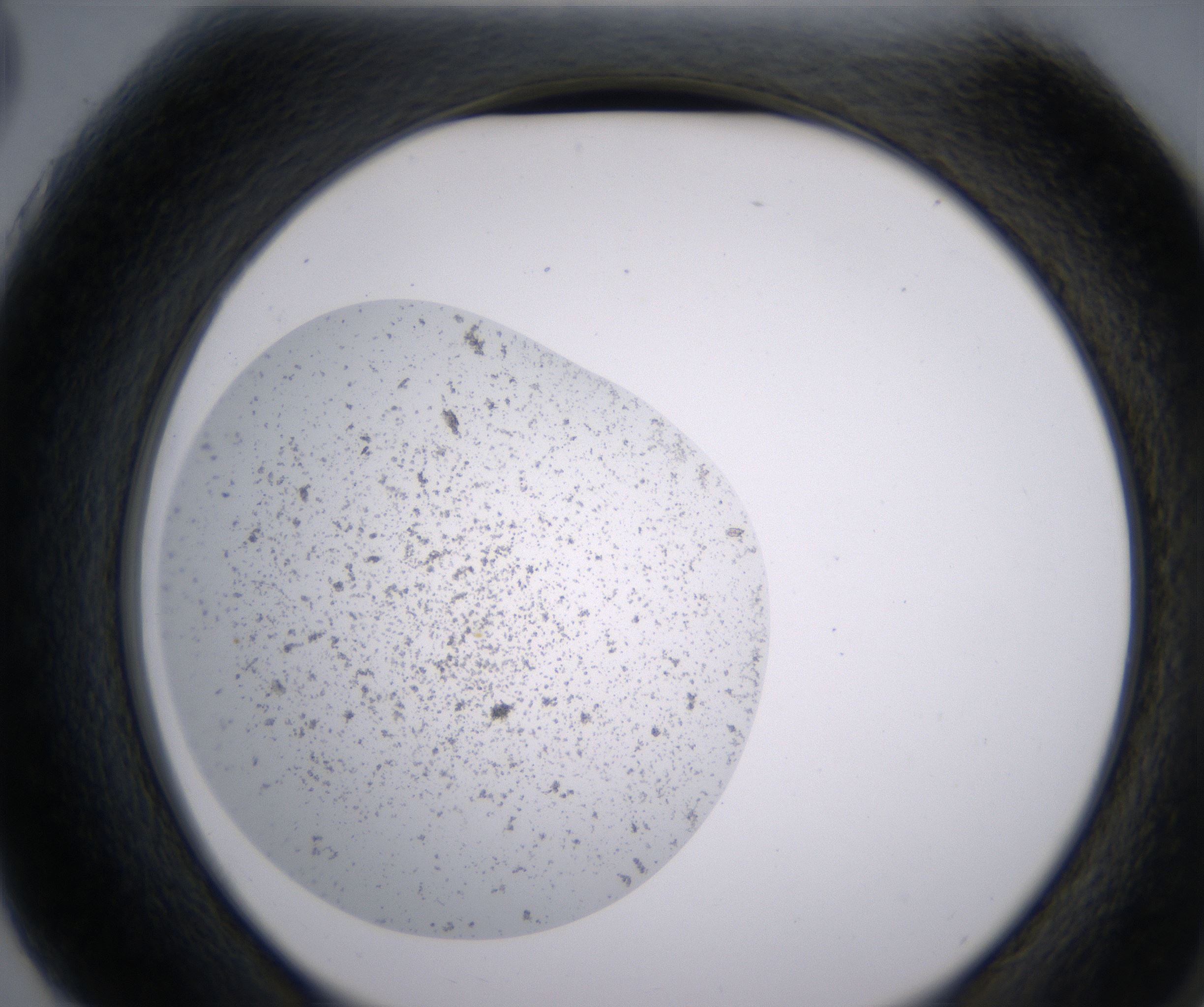 G3_HighResolution_Precipitate_2.jpg