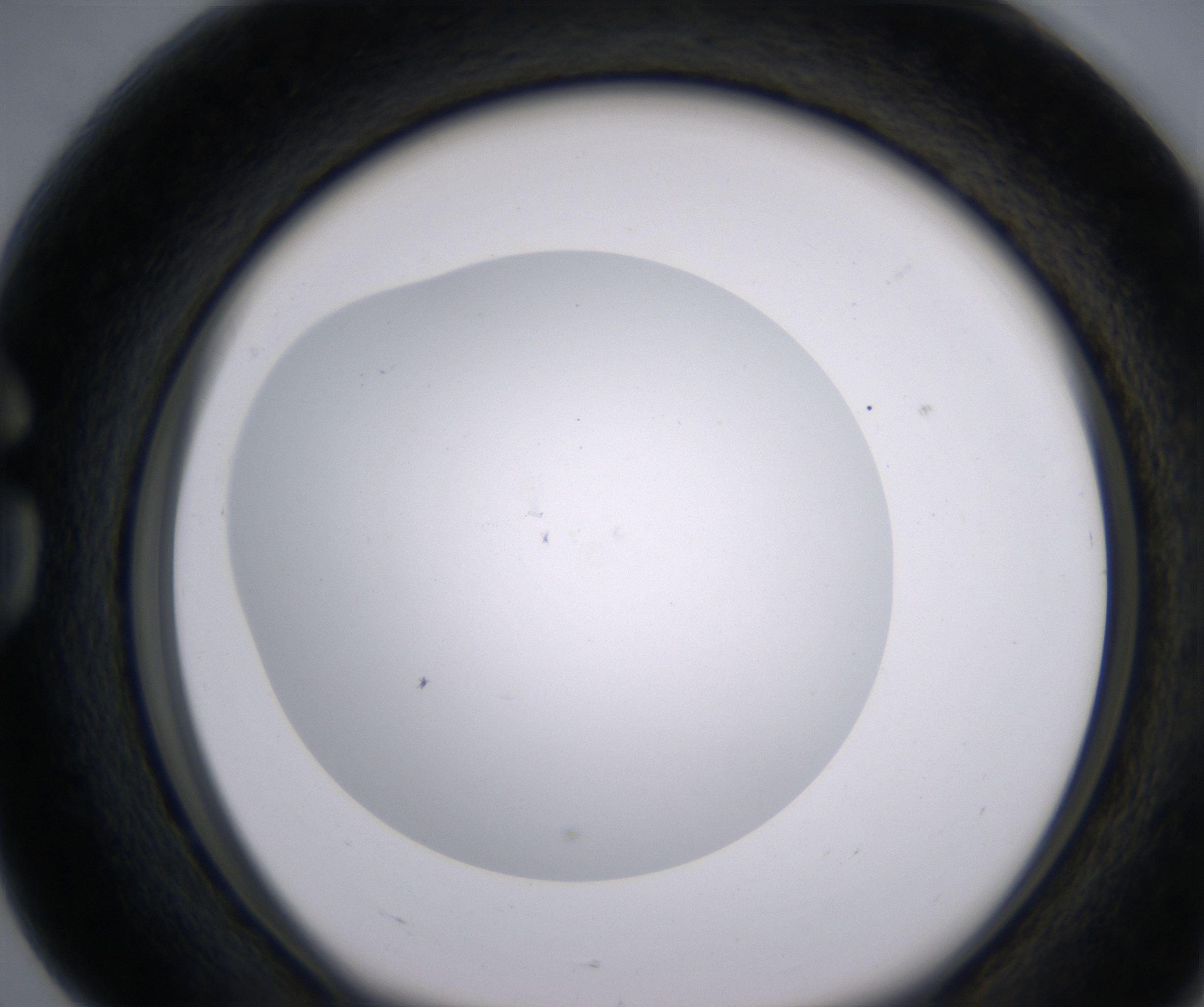 G4_HighResolution_Clear_1.jpg