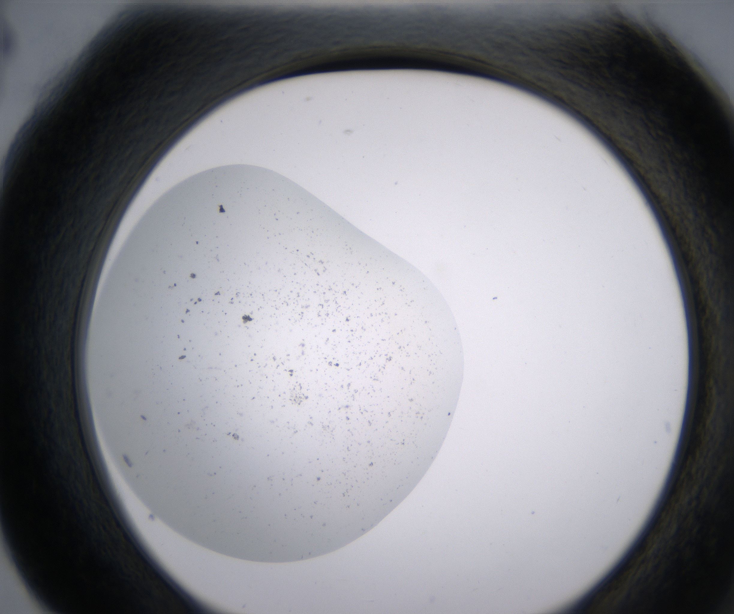 G4_HighResolution_Precipitate_2.jpg