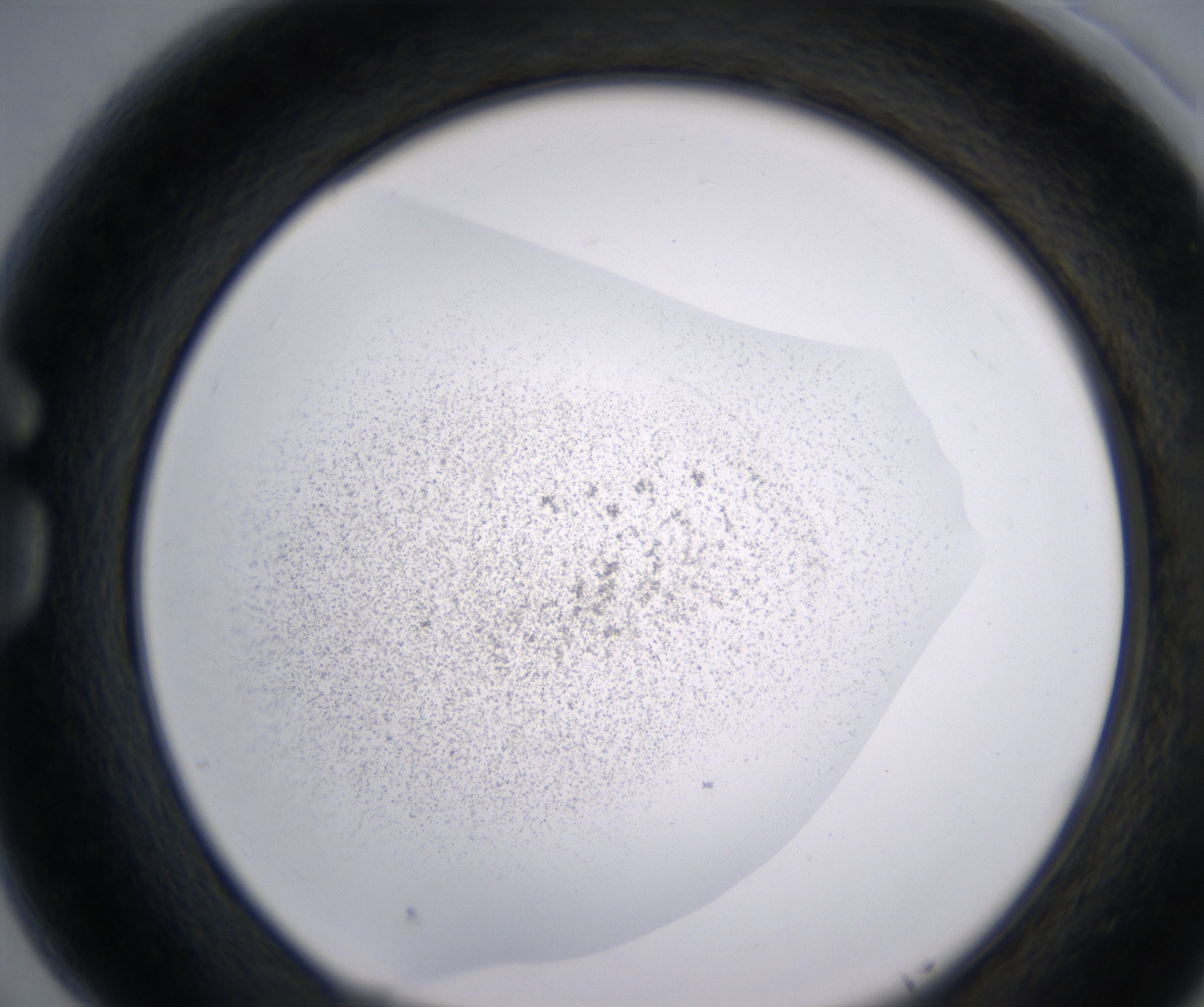 G5_HighResolution_Precipitate_1.jpg