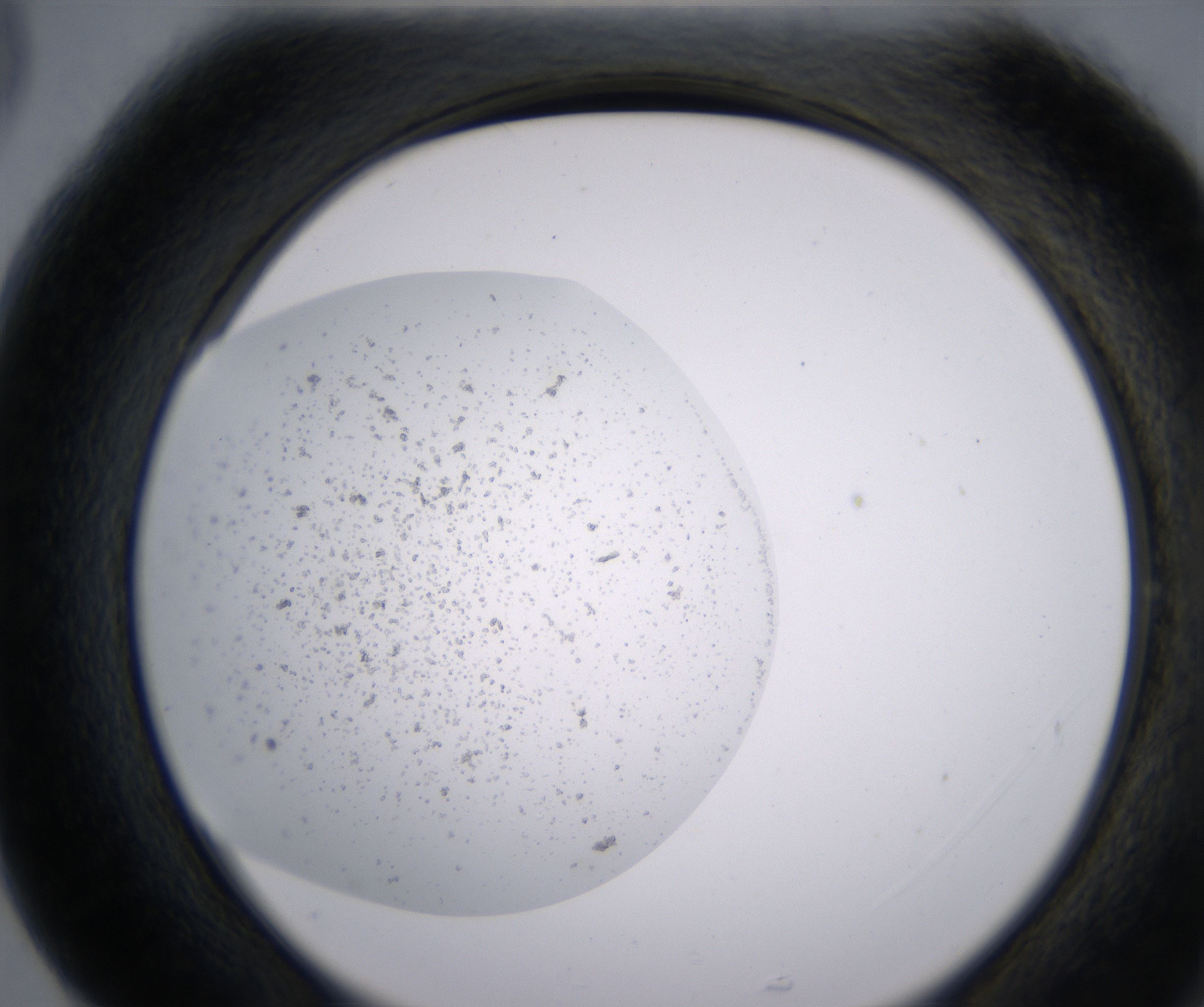 G5_HighResolution_Precipitate_2.jpg
