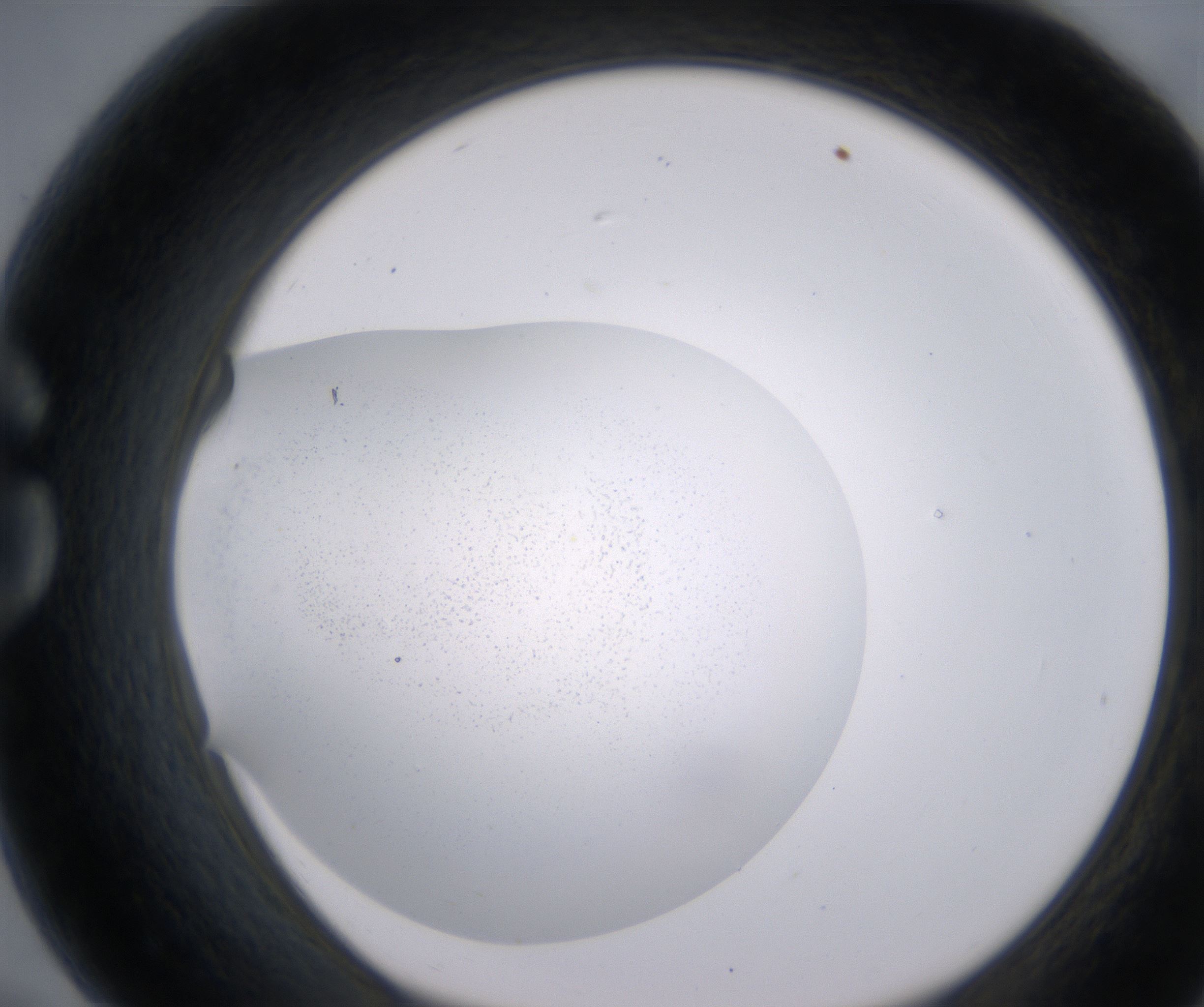 G7_HighResolution_Precipitate_1.jpg