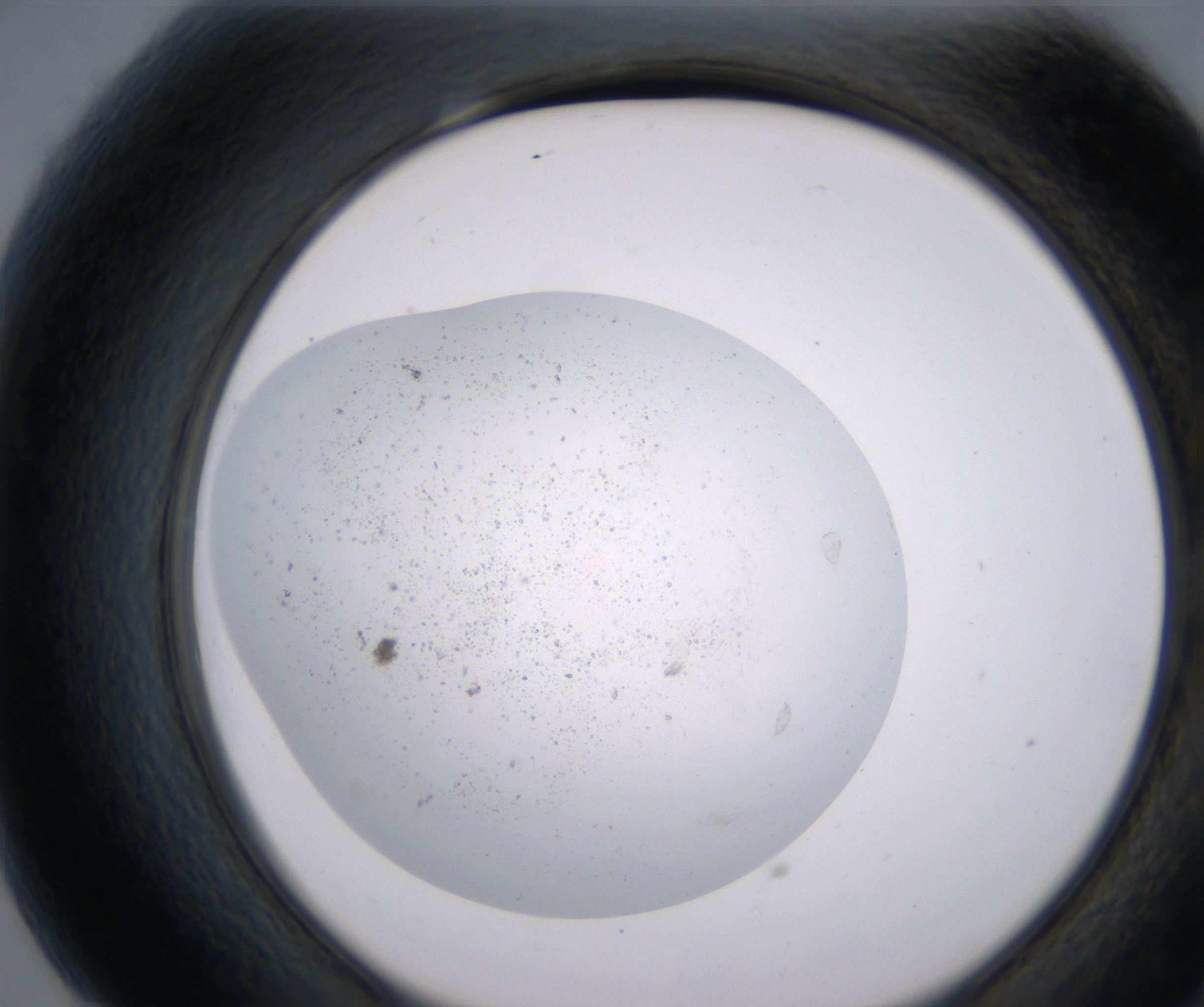 G7_HighResolution_Precipitate_2.jpg